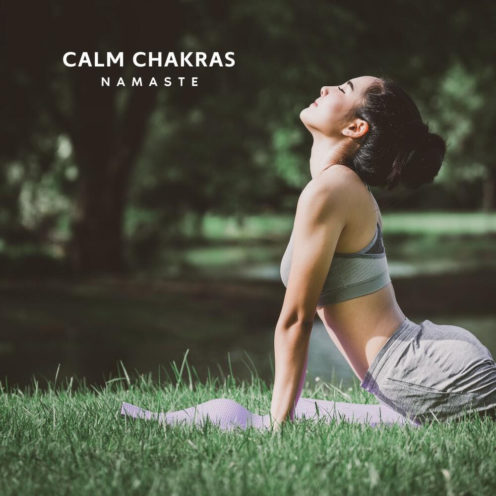 Релиз Calm Chakras: Peaceful Yoga Music