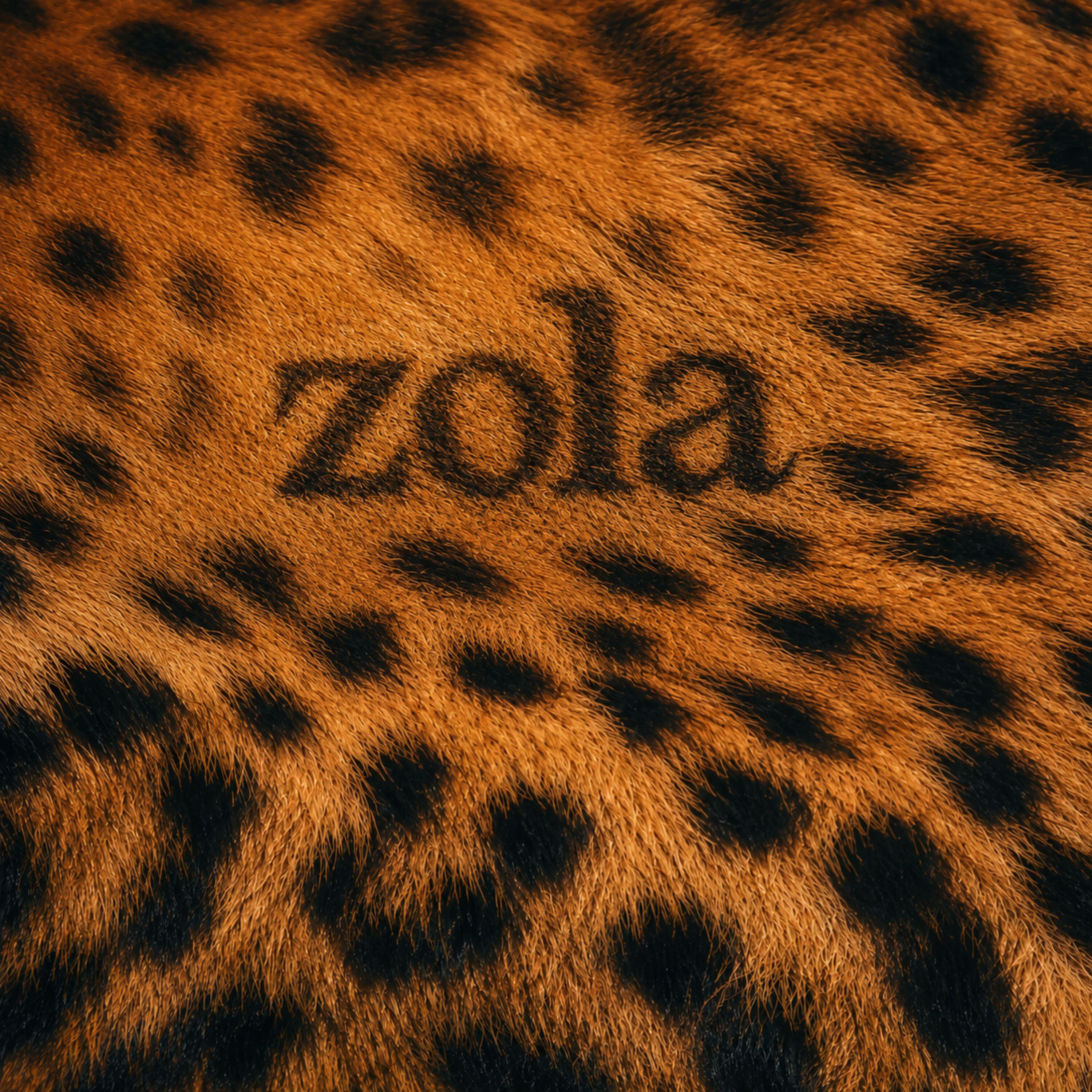 Релиз zola