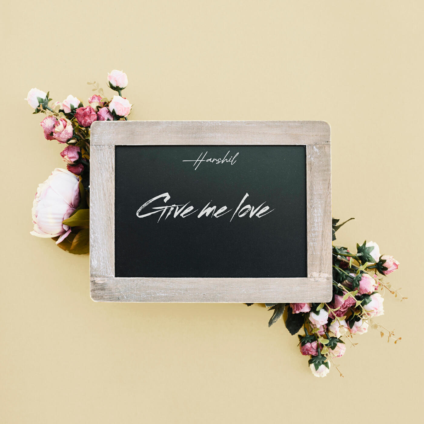 Релиз Give Me Love