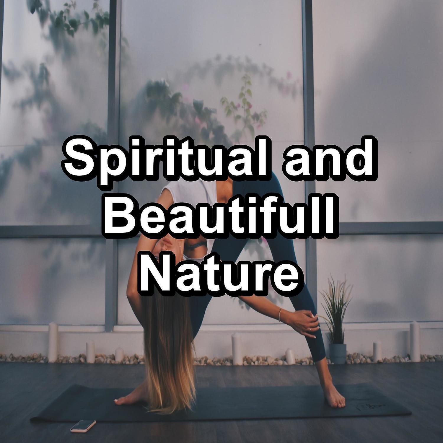 Релиз Spiritual and Beautifull Nature