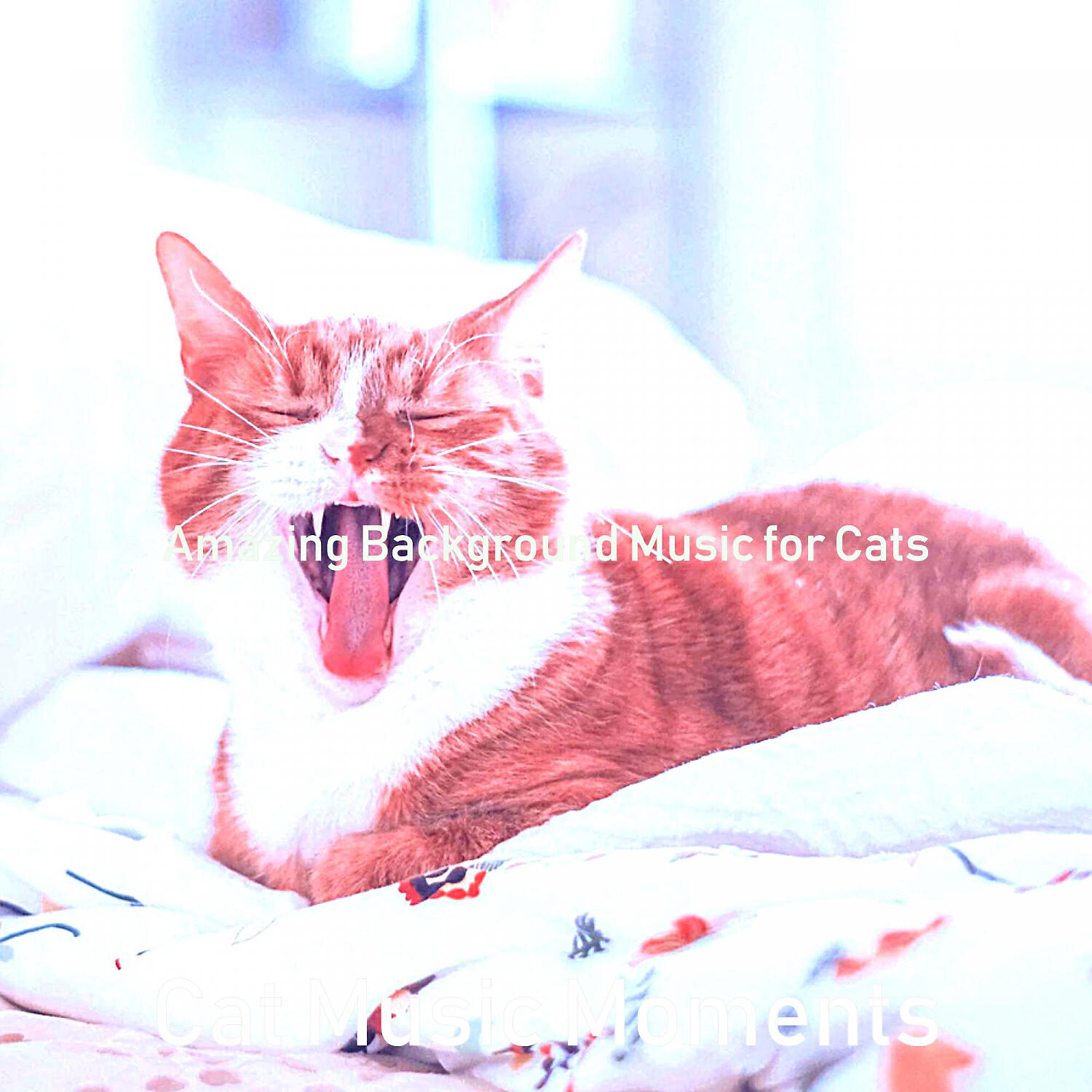 Релиз Amazing Background Music for Cats