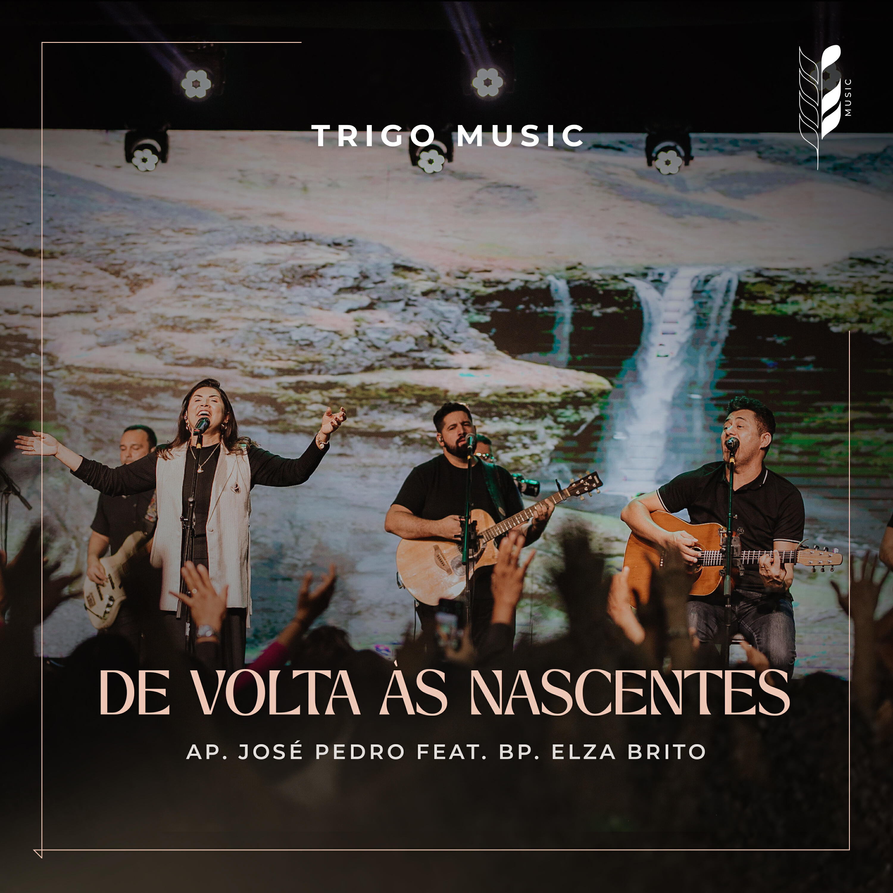 100% Trigo Music