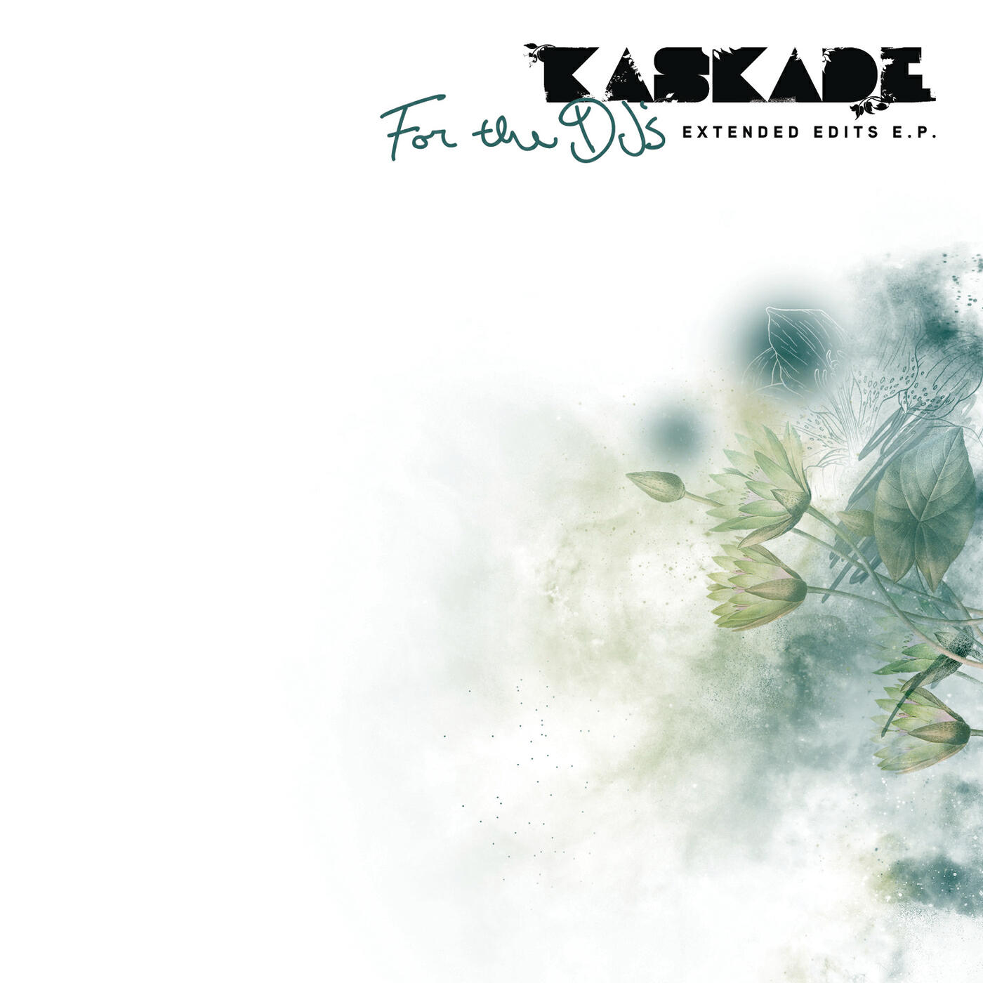 Релиз For The DJs (Extended Edits EP)