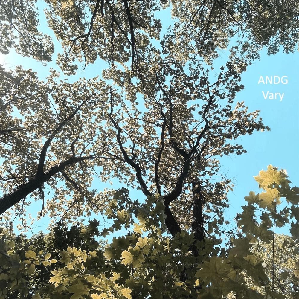 Релиз Vary