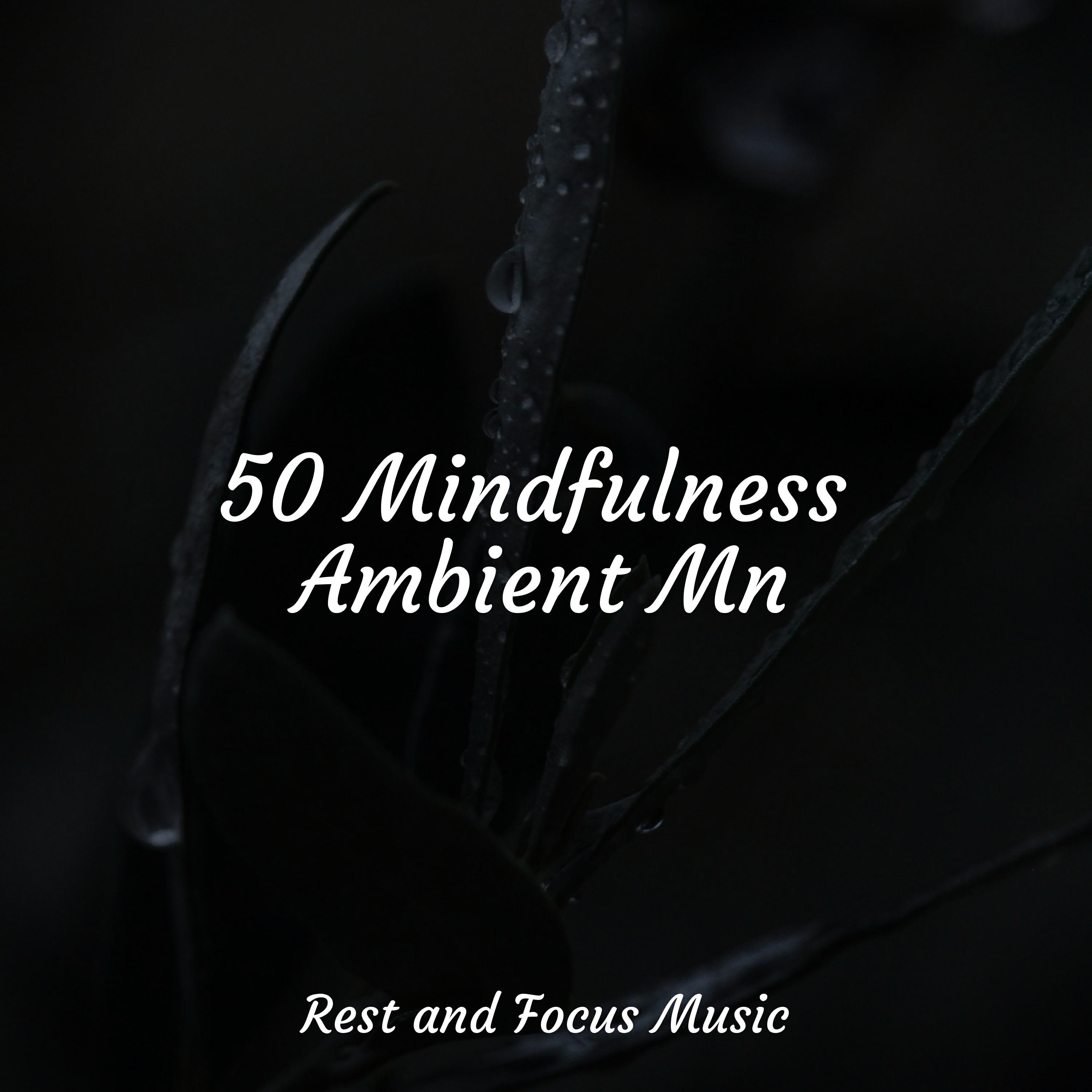 Релиз 50 Mindfulness Ambient Mn