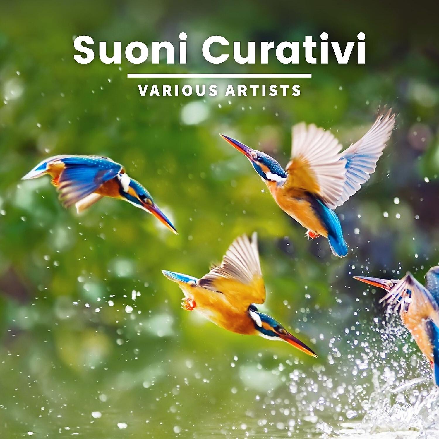 Релиз Suoni curativi
