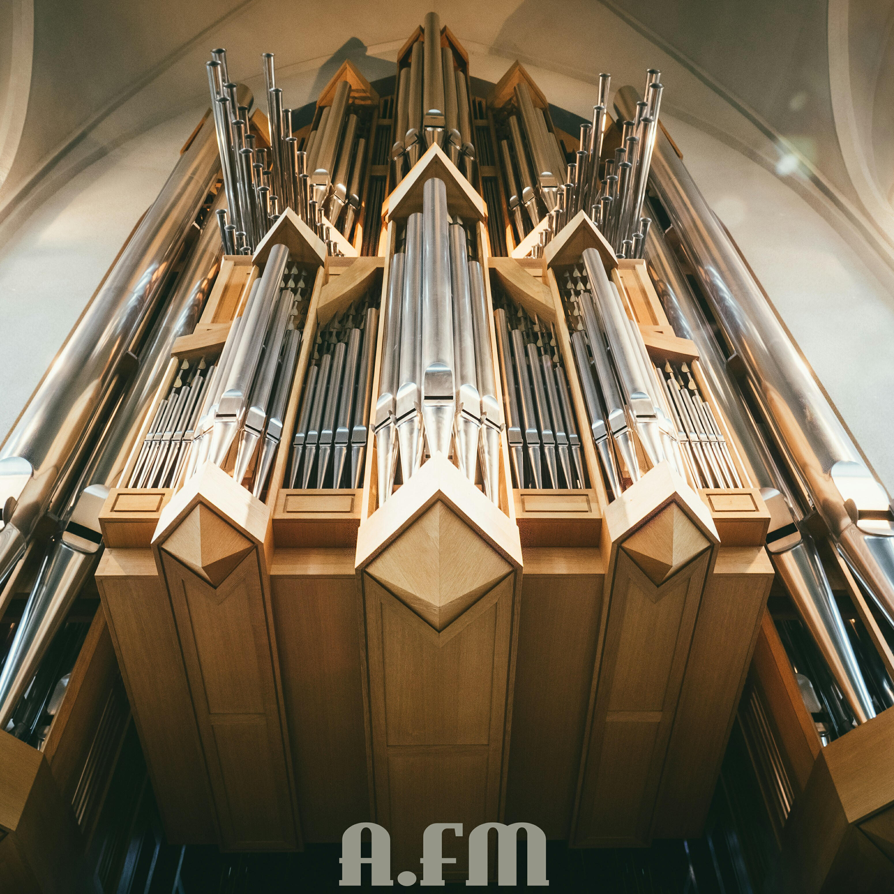 Релиз Choir
