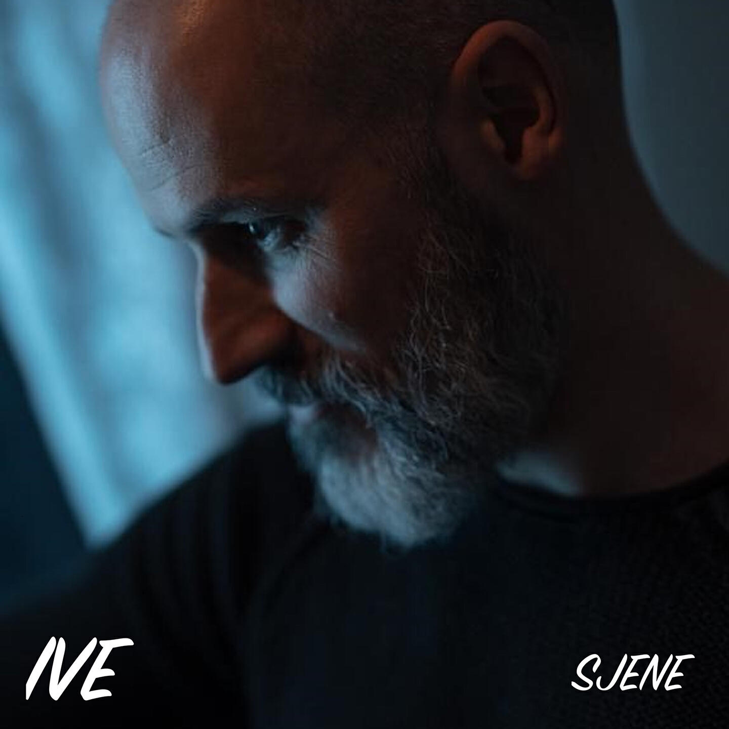Релиз Sjene