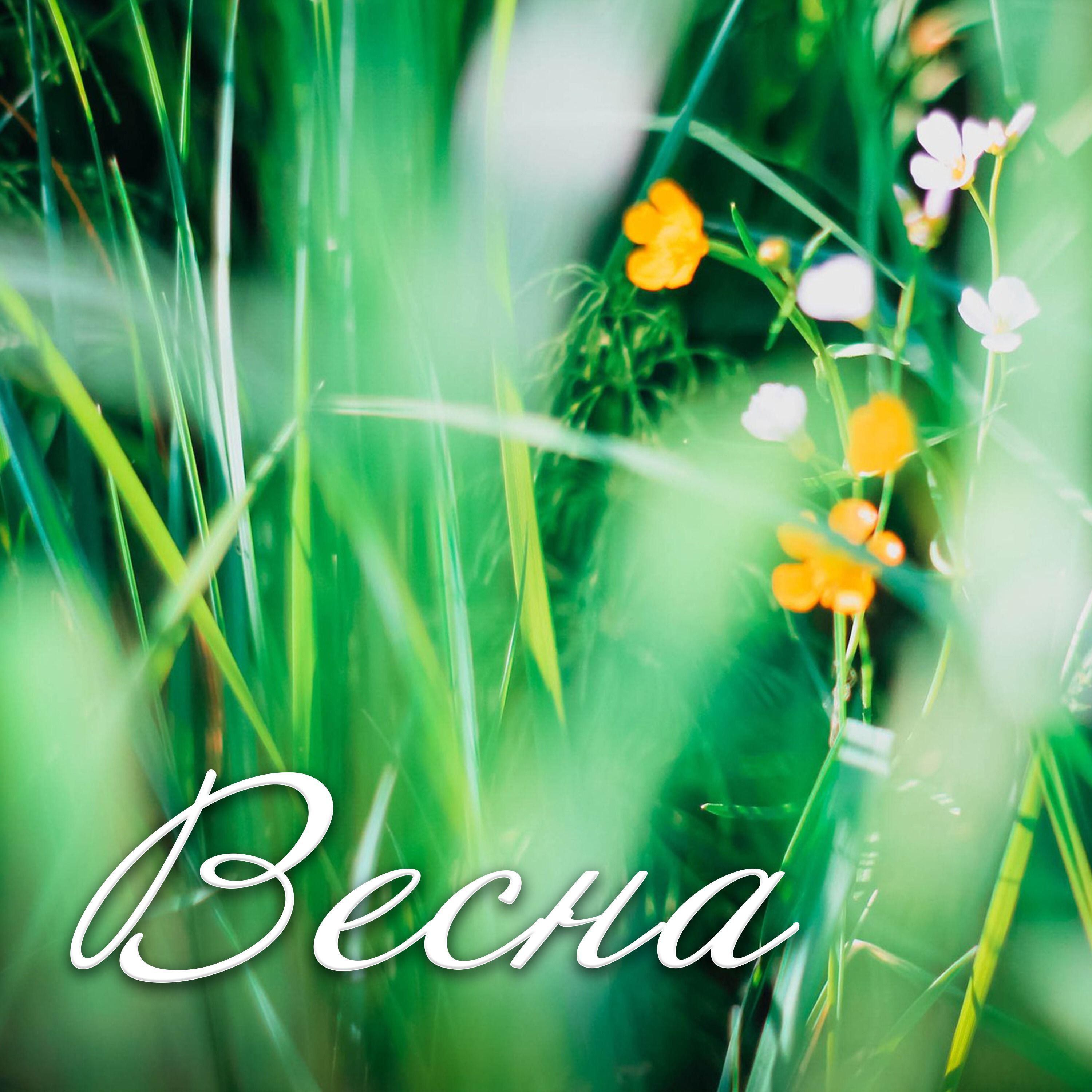 Релиз Весна