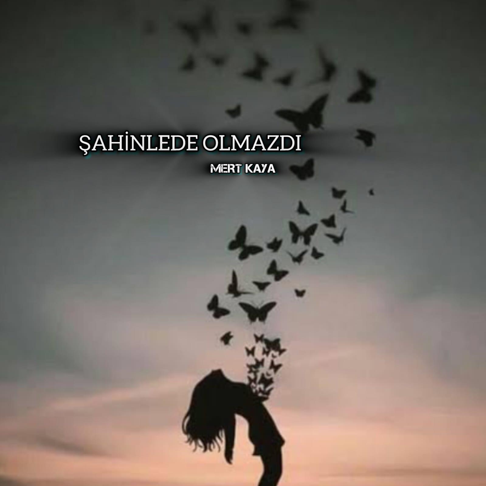 Релиз Şahinlede Olmazdı