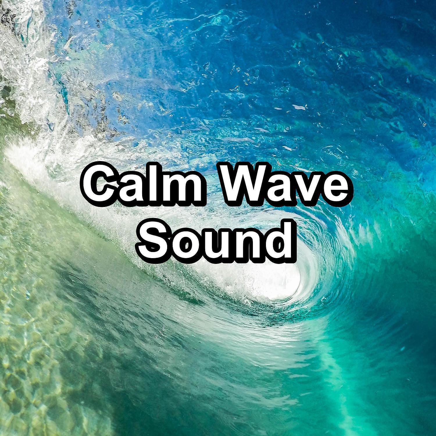 Релиз Calm Wave Sound