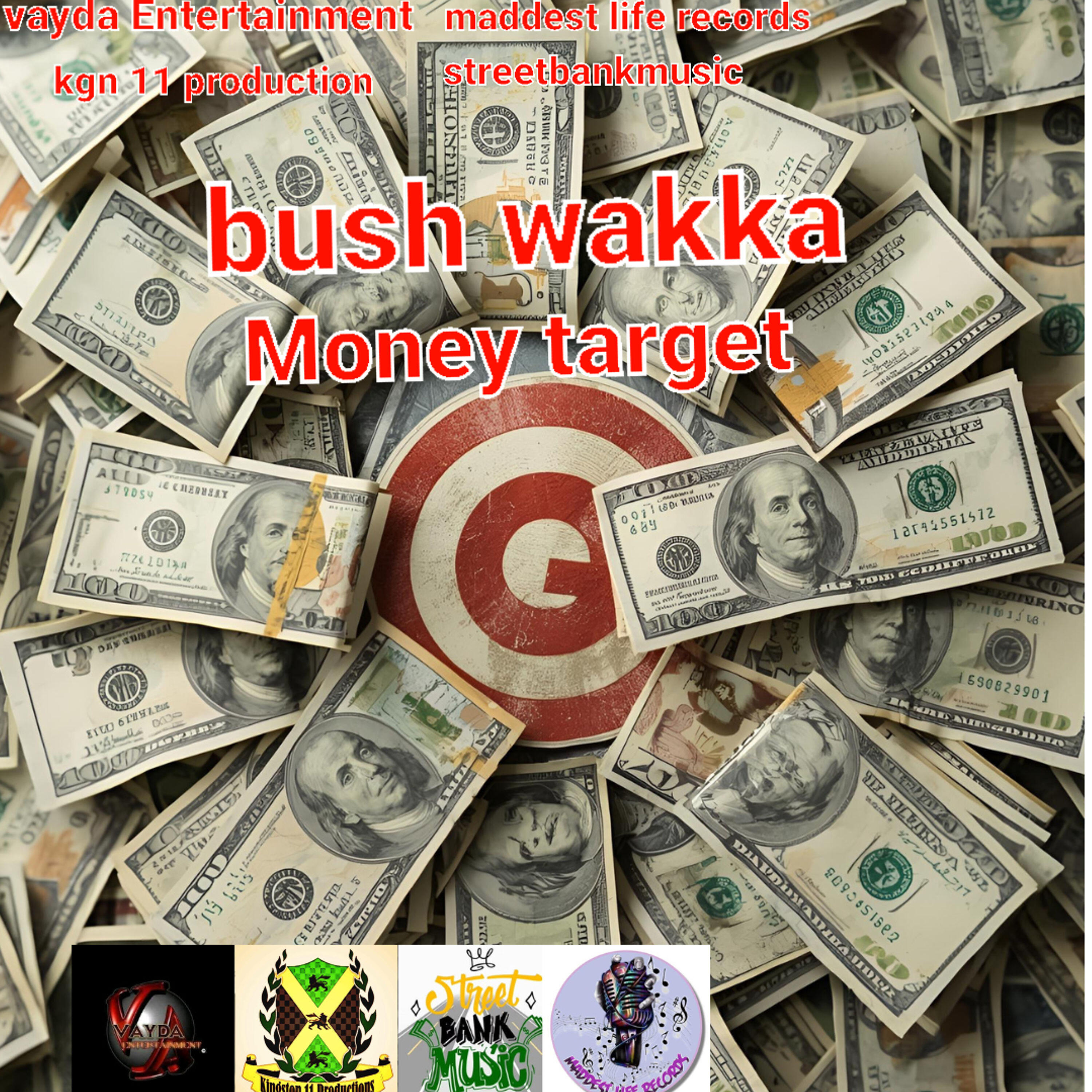 Релиз Money Target