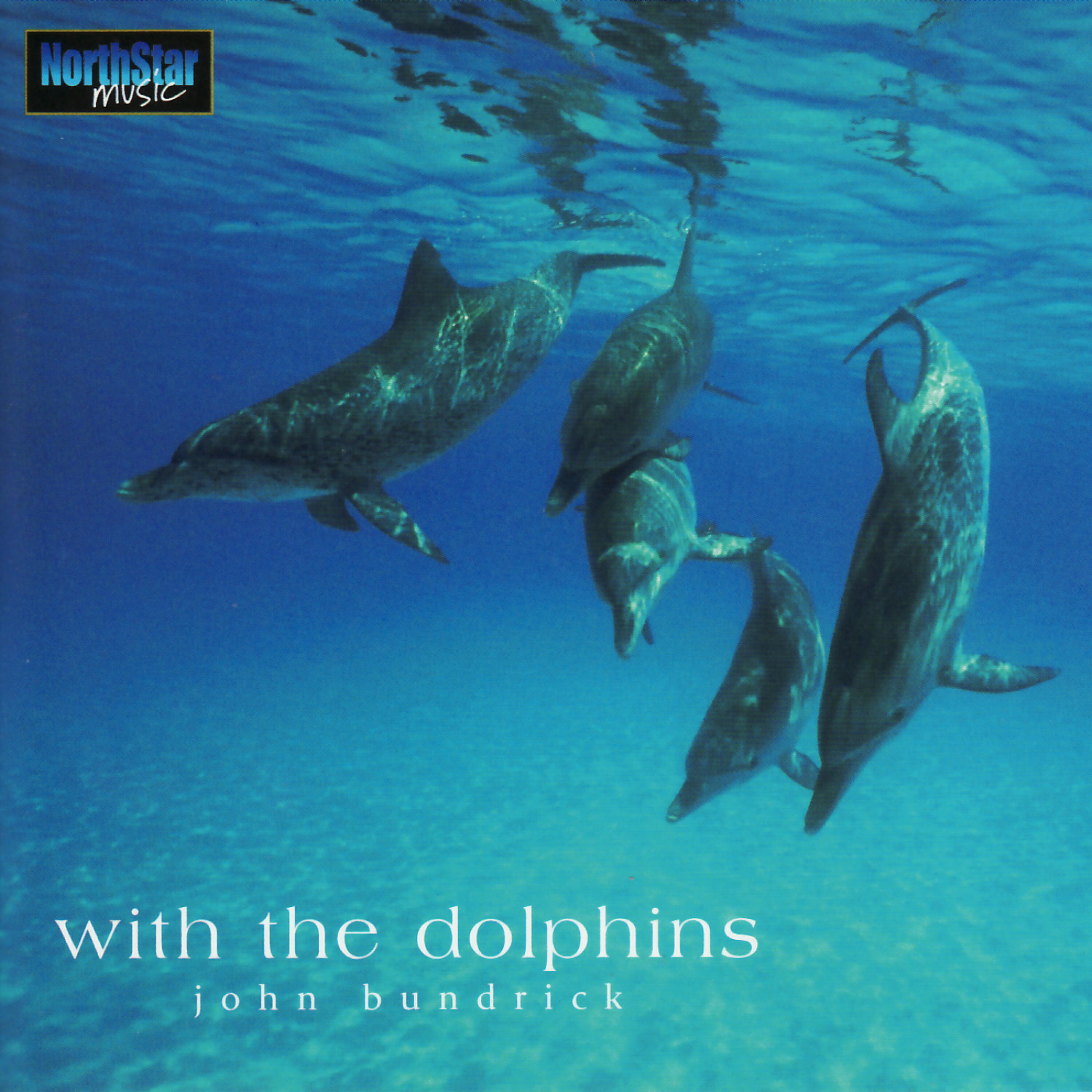 Релиз With the Dolphins