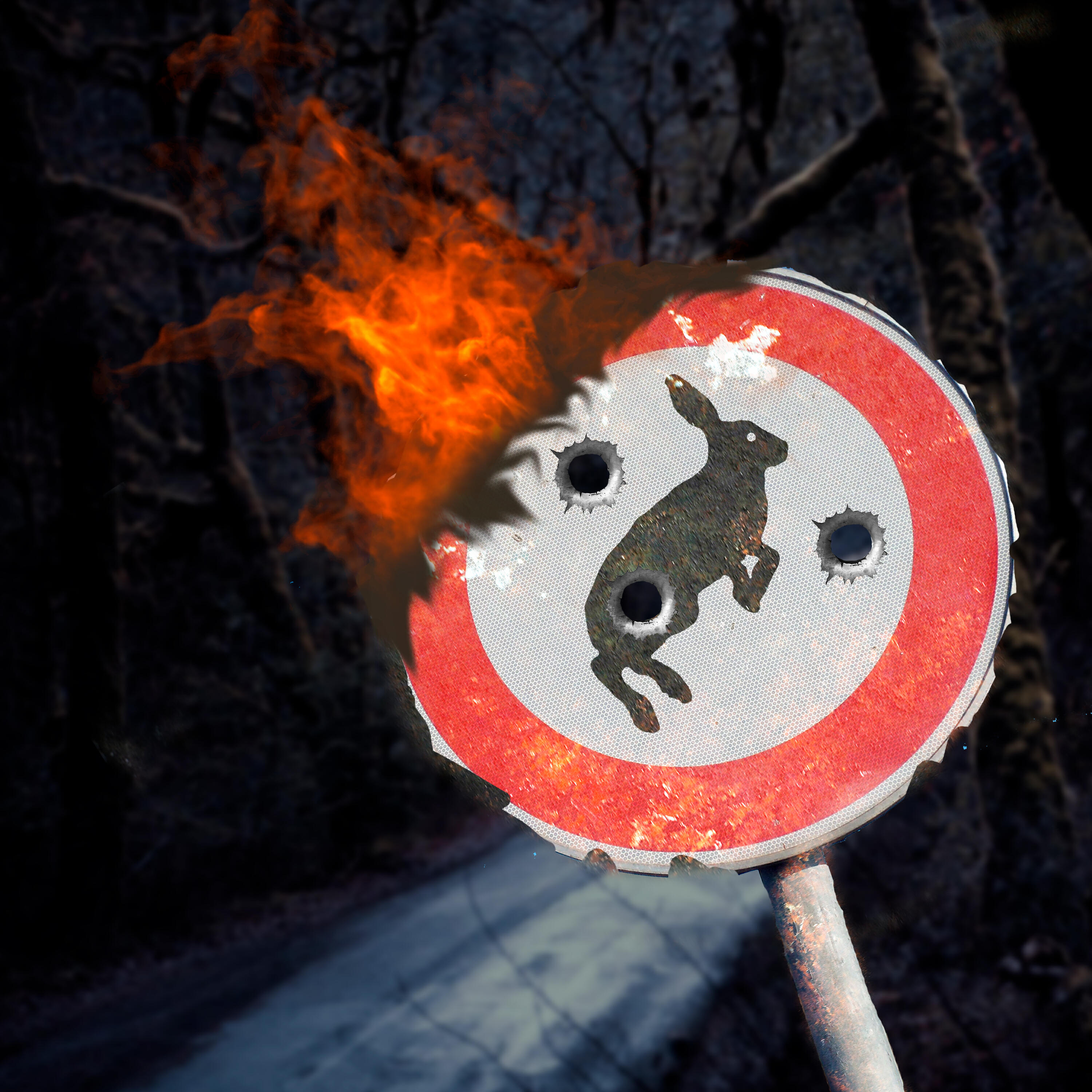 Релиз Rabbit