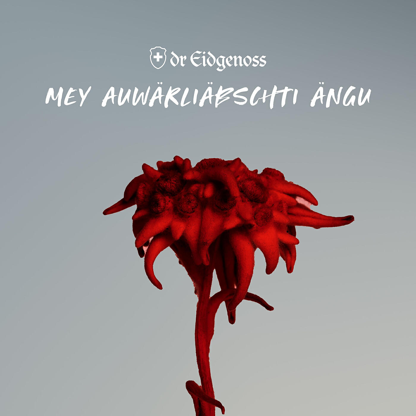 Релиз Mey auwärliäbschti Ängu