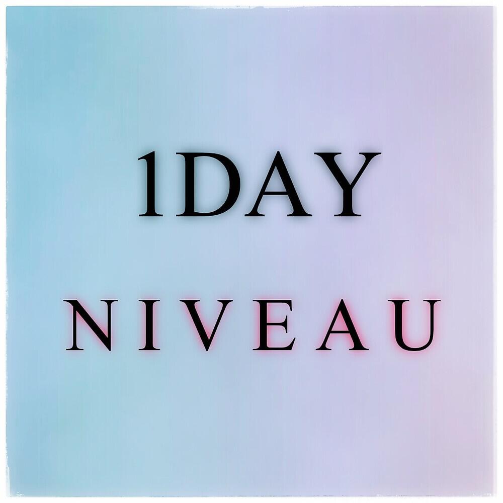 Релиз Niveau