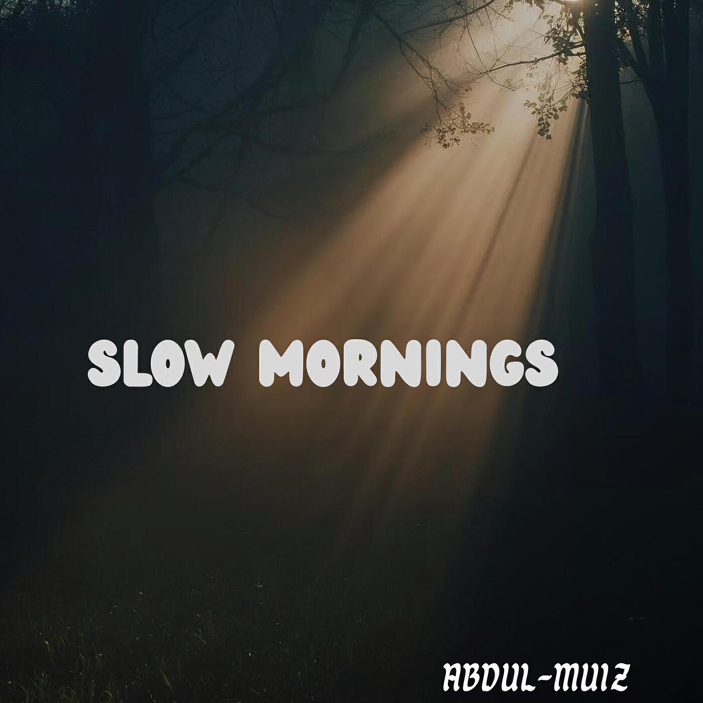 Релиз Slow Mornings
