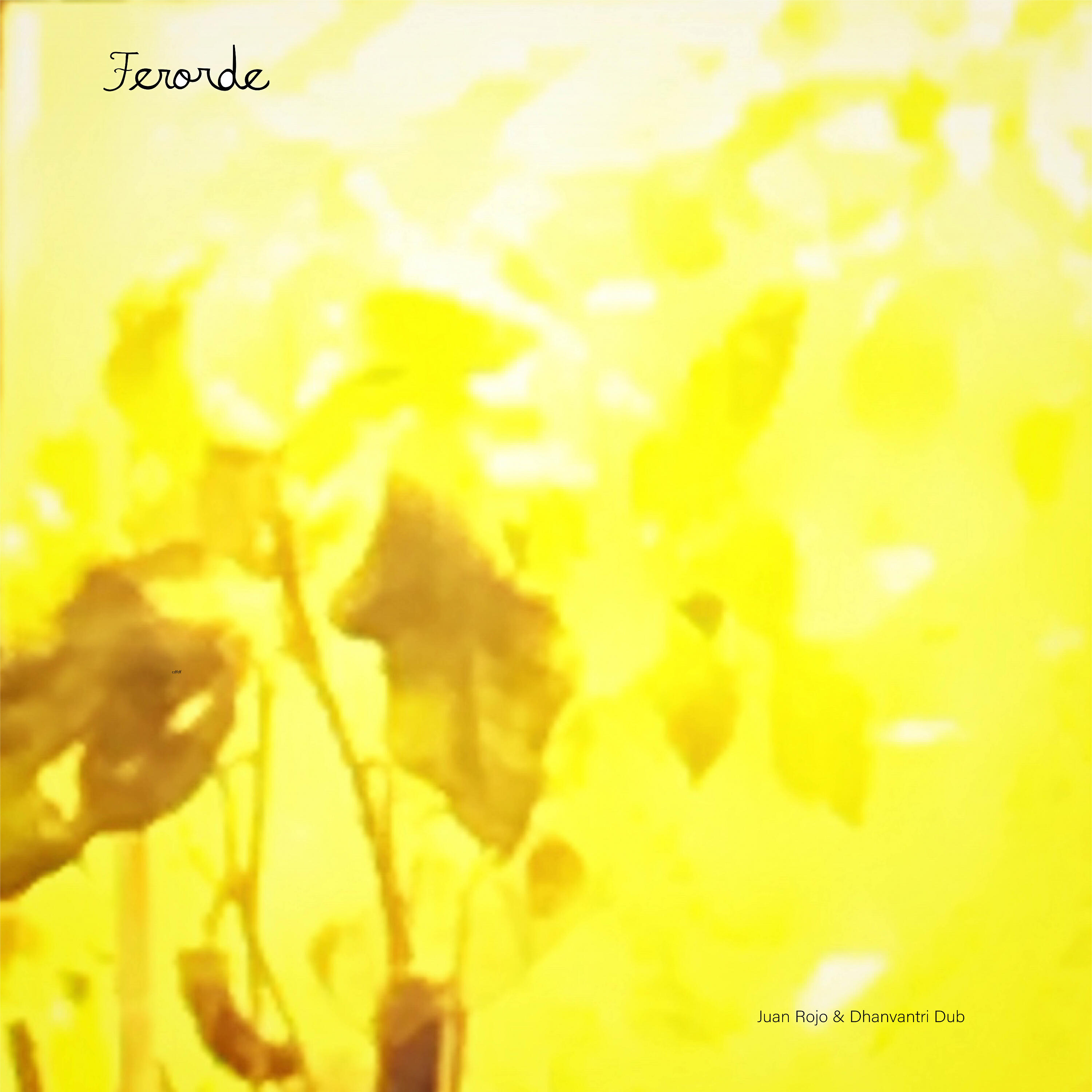 Релиз Ferorde