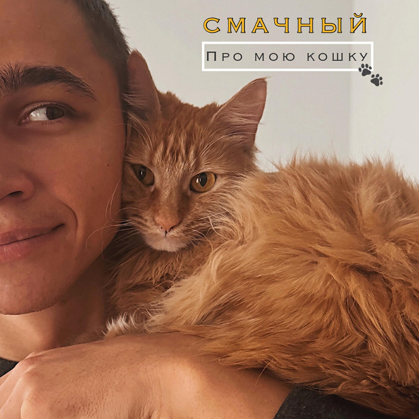 Релиз Про мою кошку
