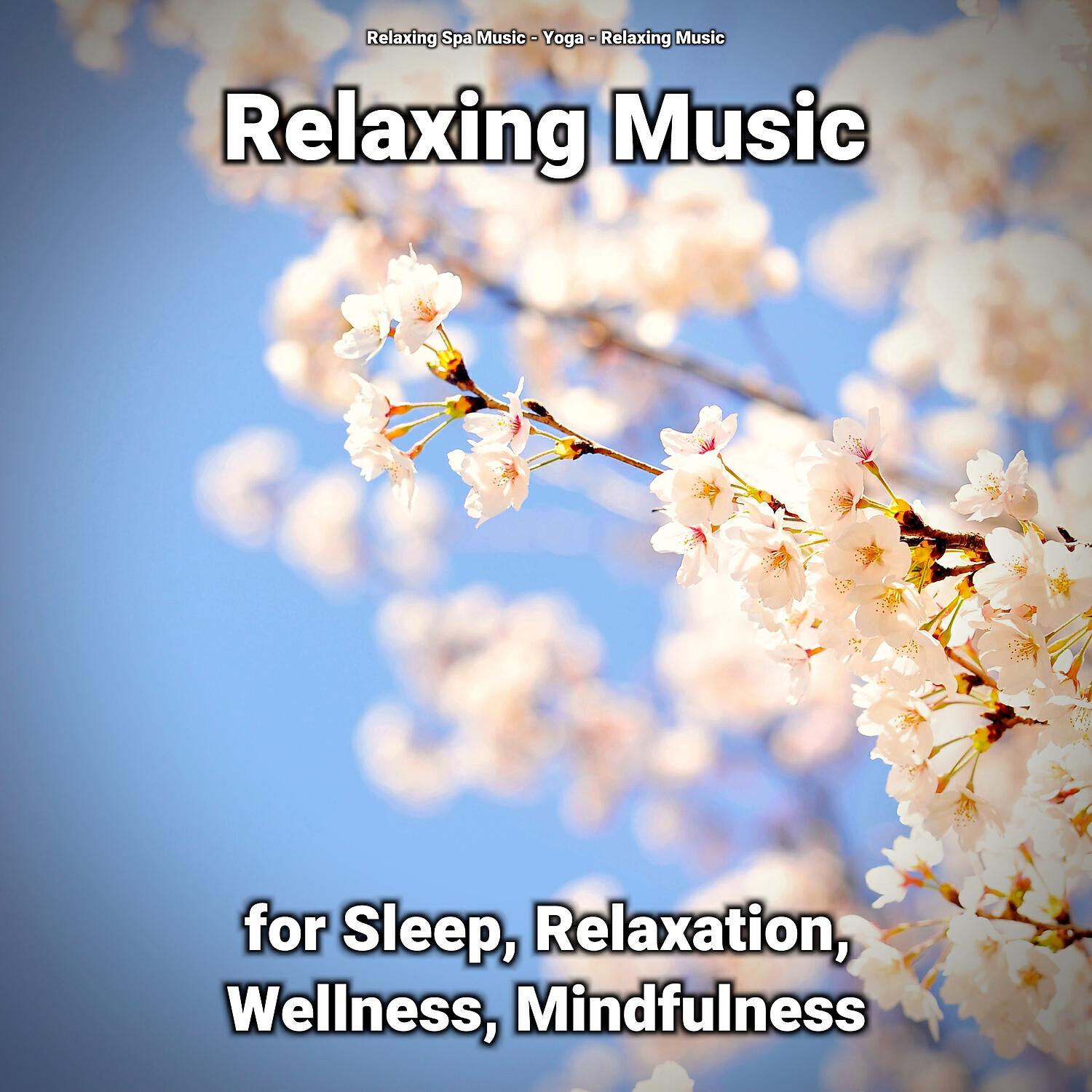 Релиз Relaxing Music for Sleep, Relaxation, Wellness, Mindfulness