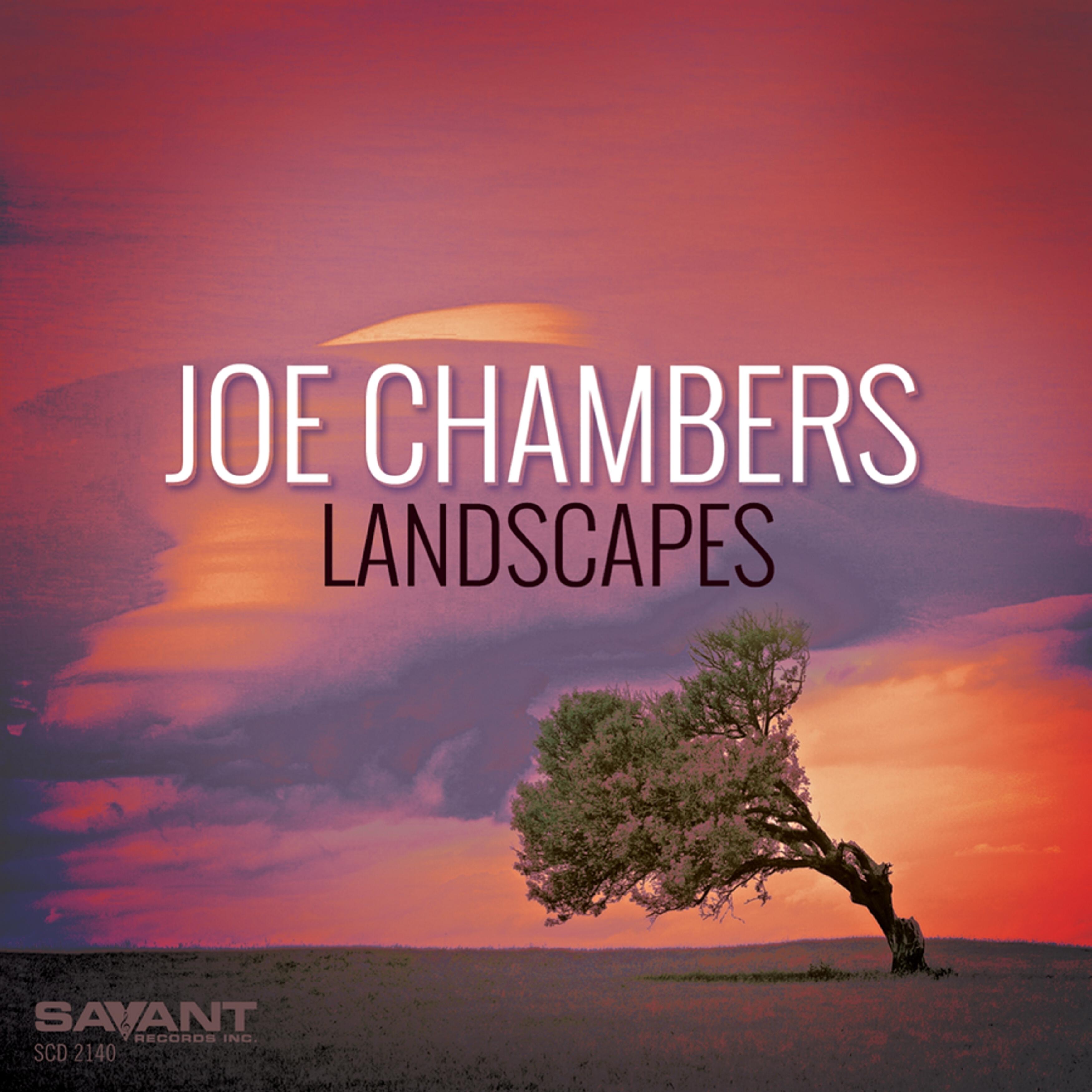 Релиз Landscapes