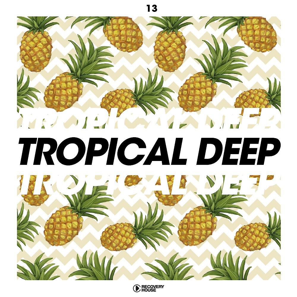 Релиз Tropical Deep, Vol. 13