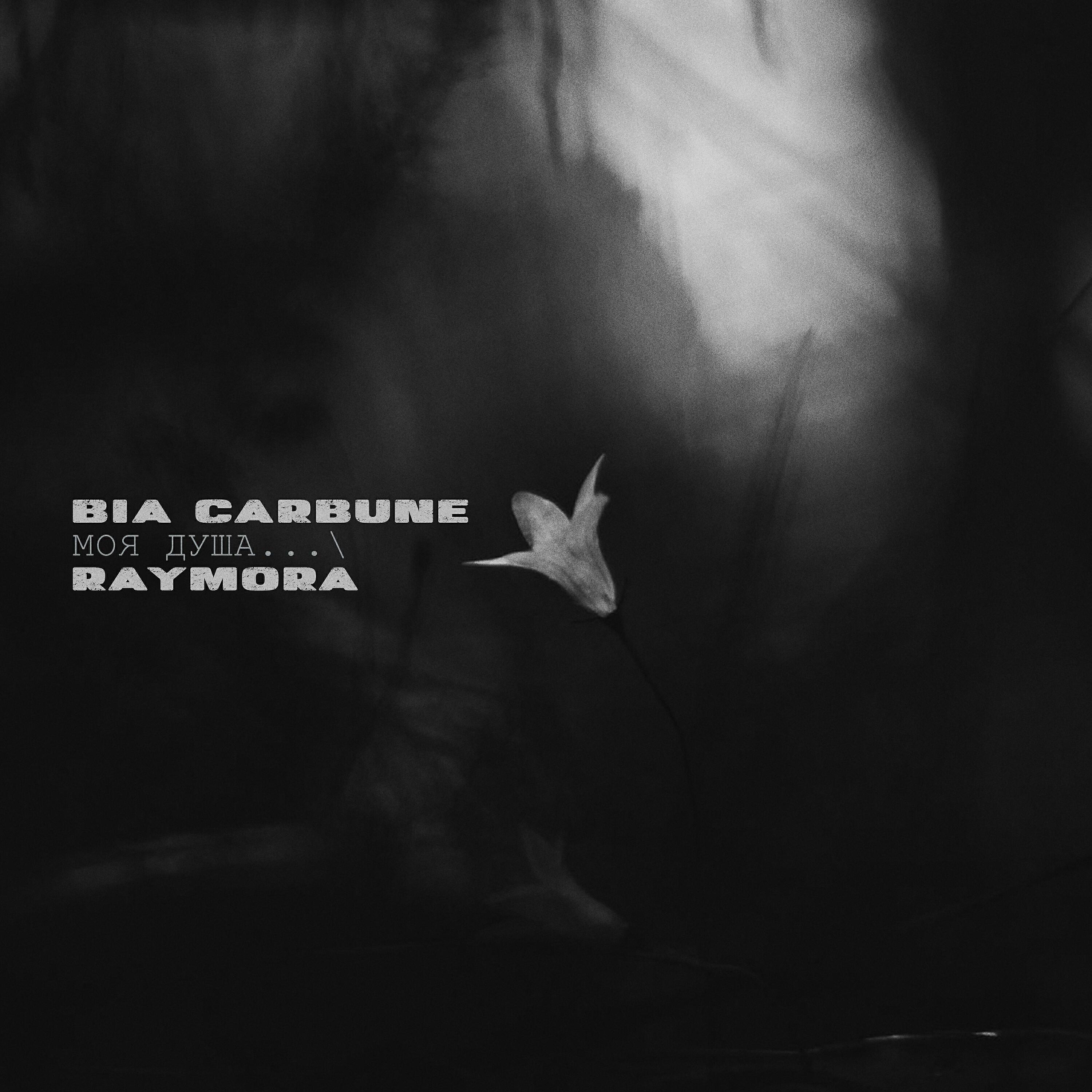 Bia Carbune