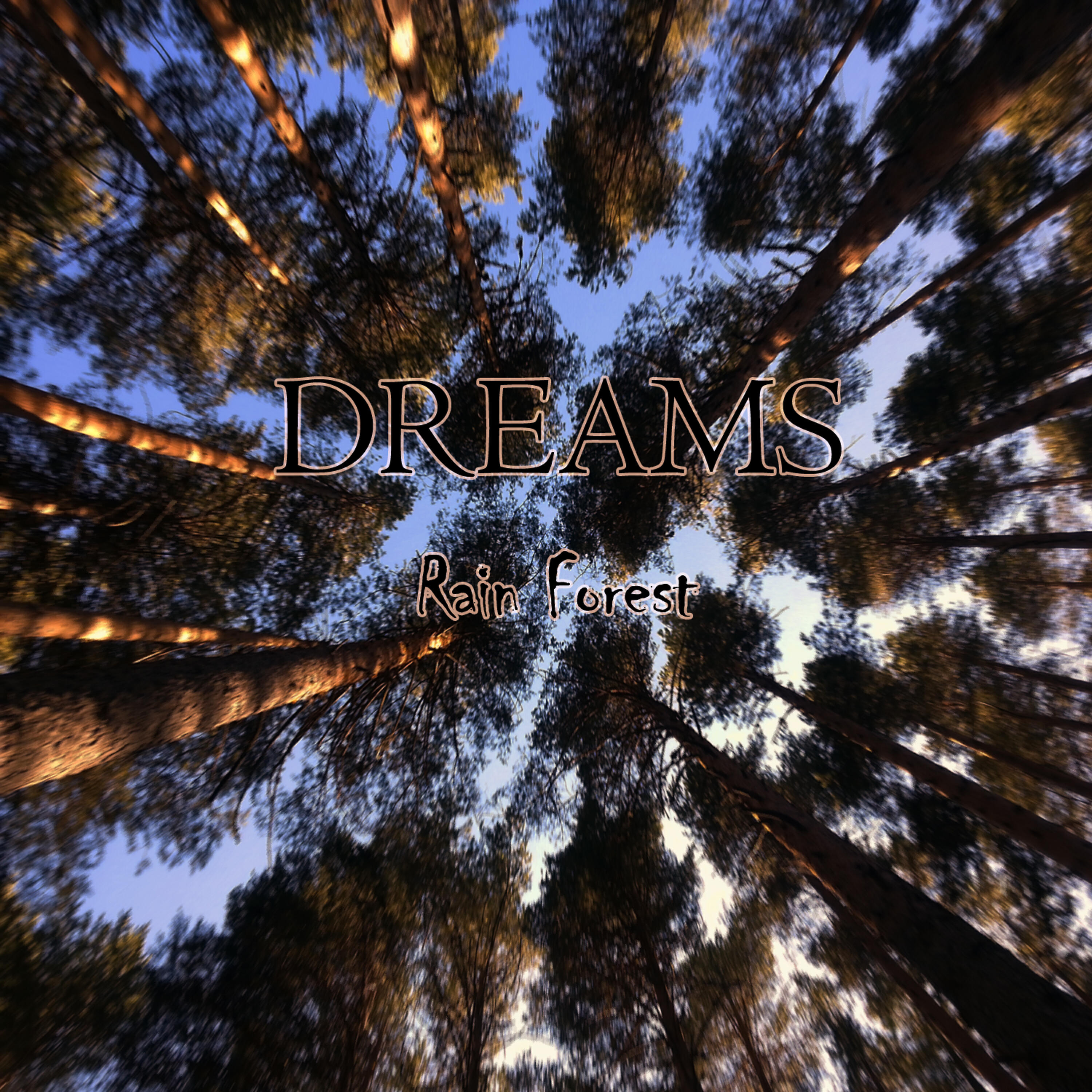 Релиз Rain Forest