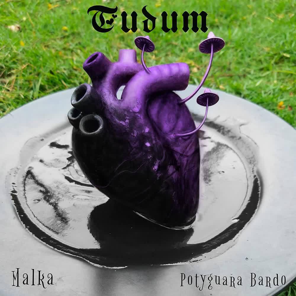 Релиз Tudum