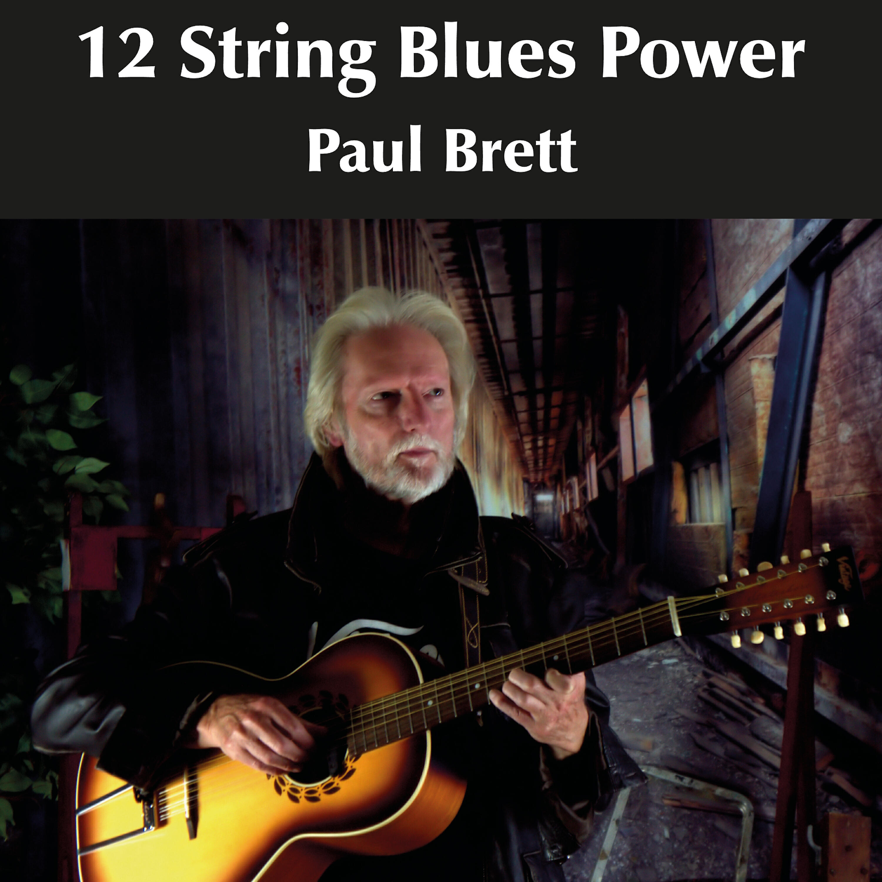 Релиз 12 String Blues Power