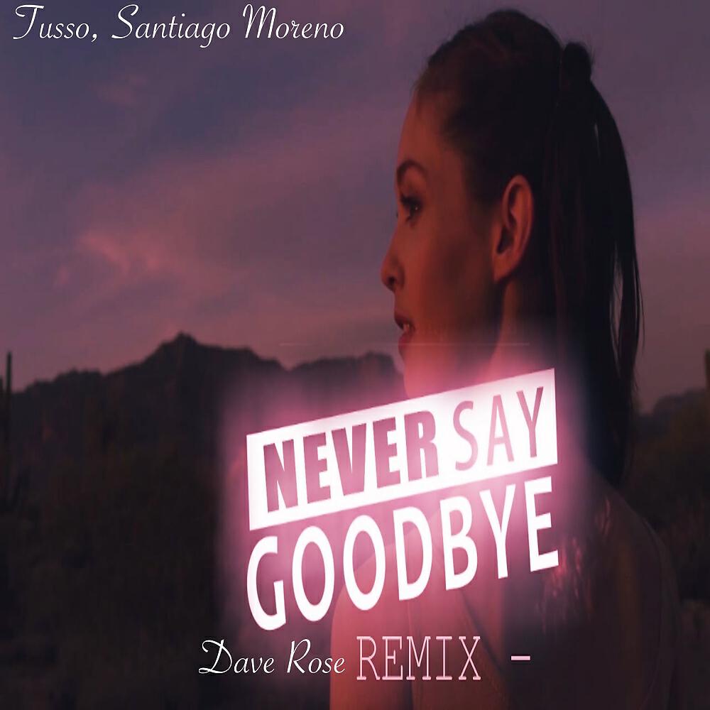 Релиз Never Say Goodbye (Dave Rose Remix)