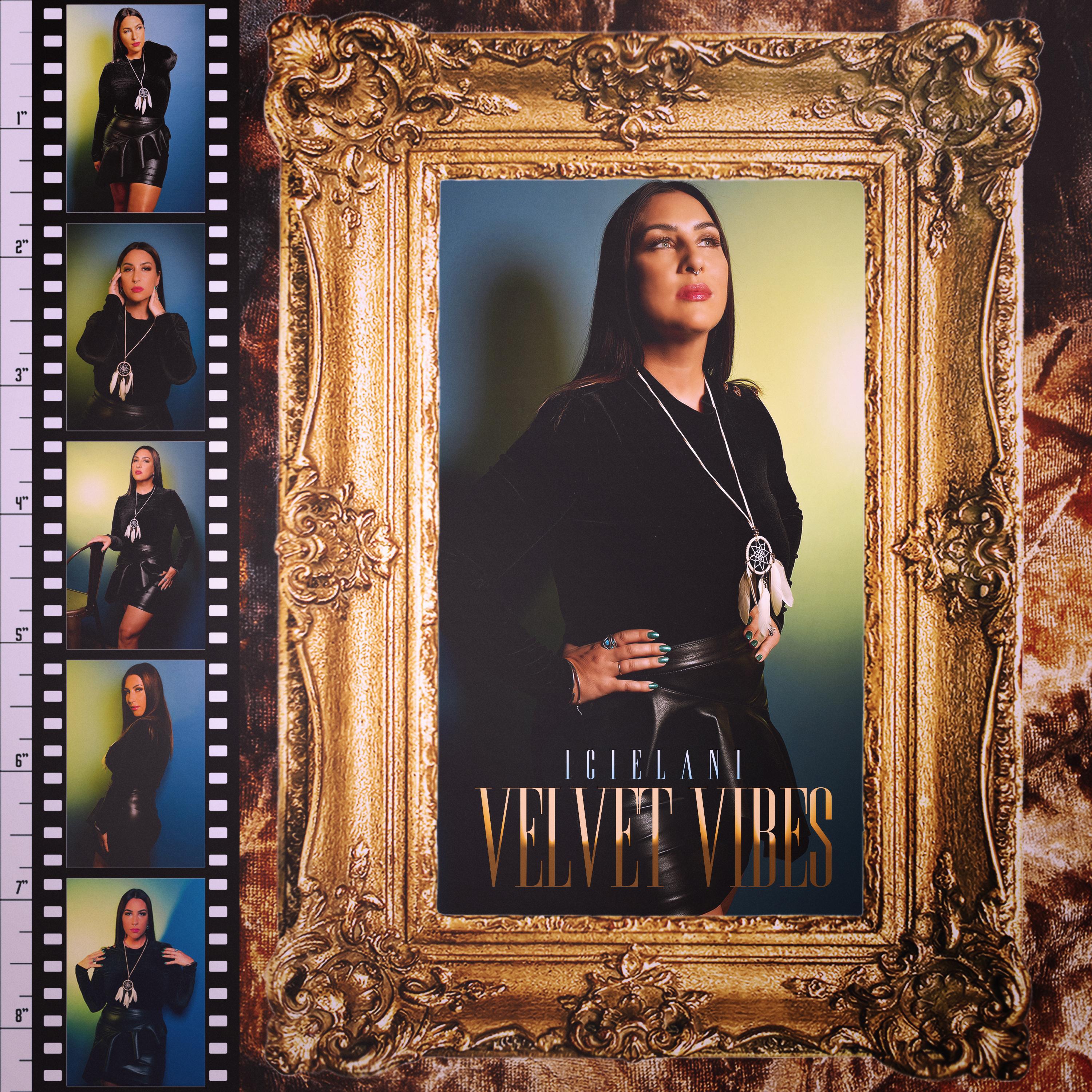 Постер альбома Velvet Vibes