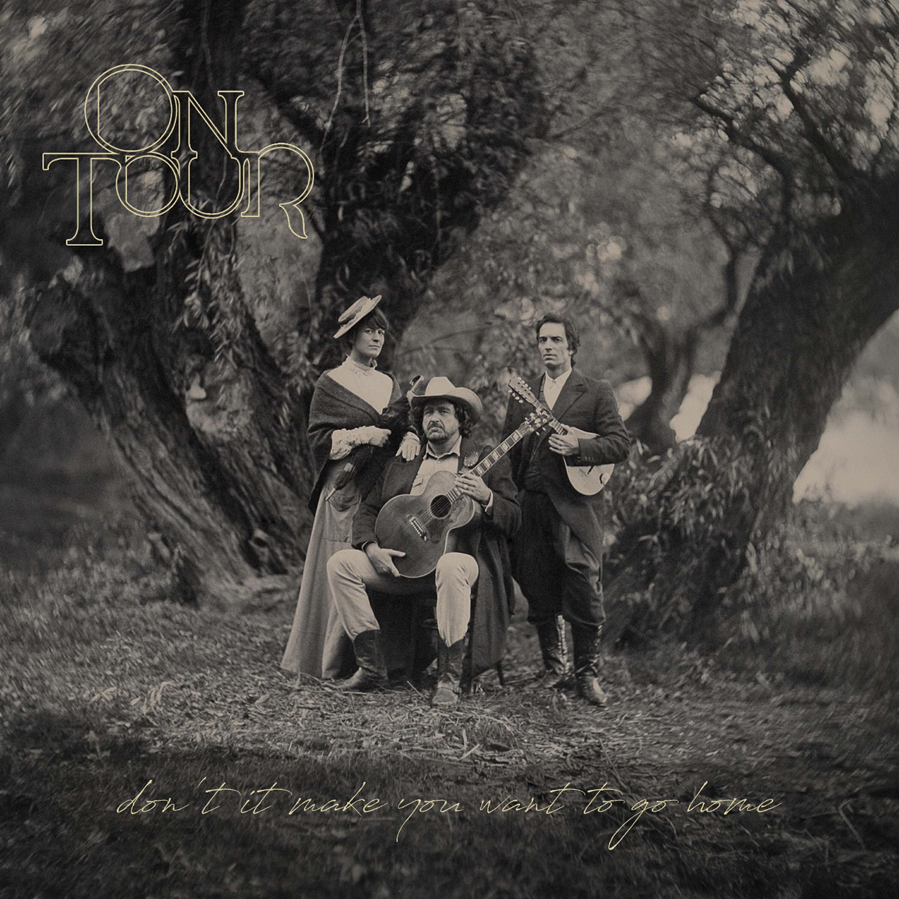 Релиз Don't It Make You Want to Go Home