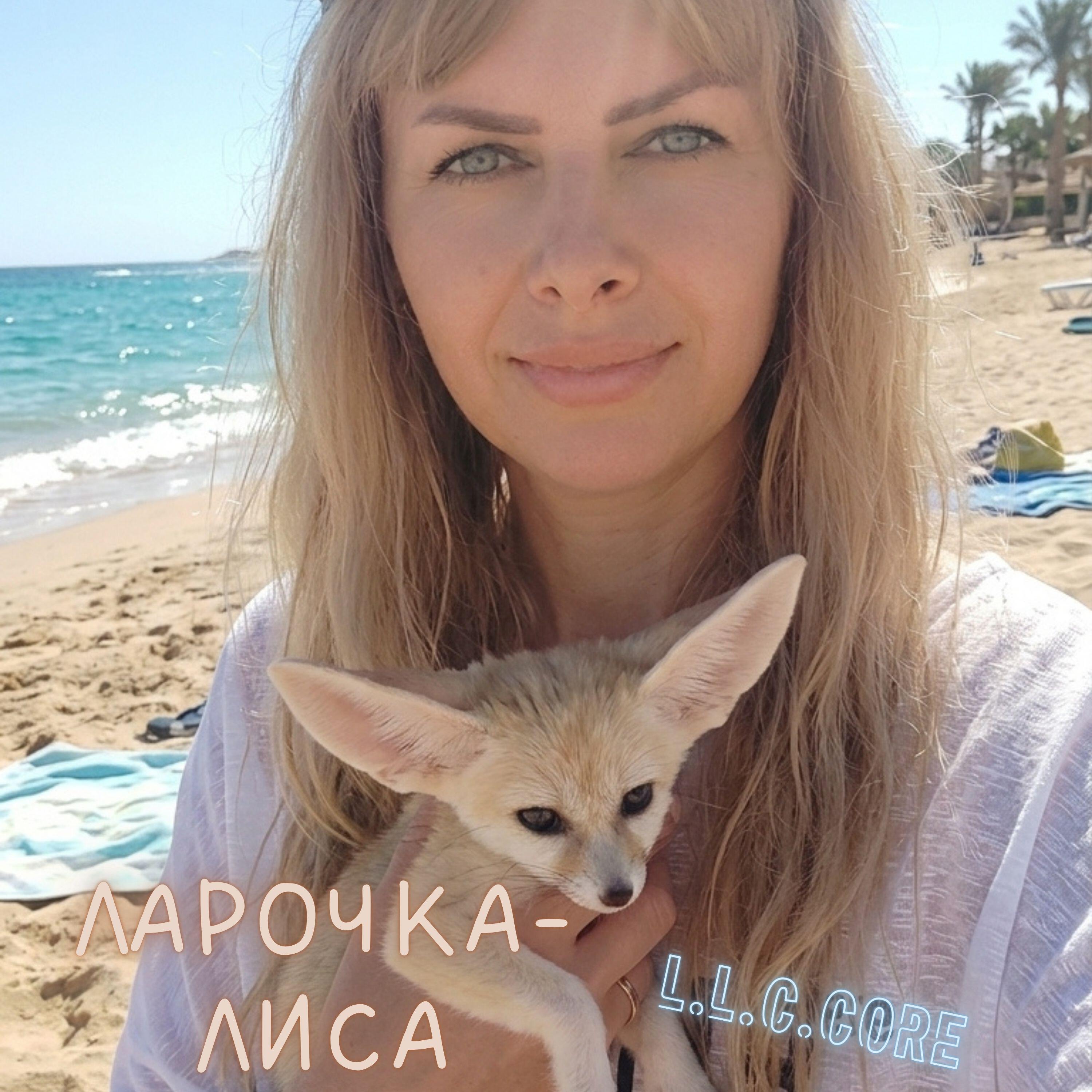 Релиз Ларочка-Лиса