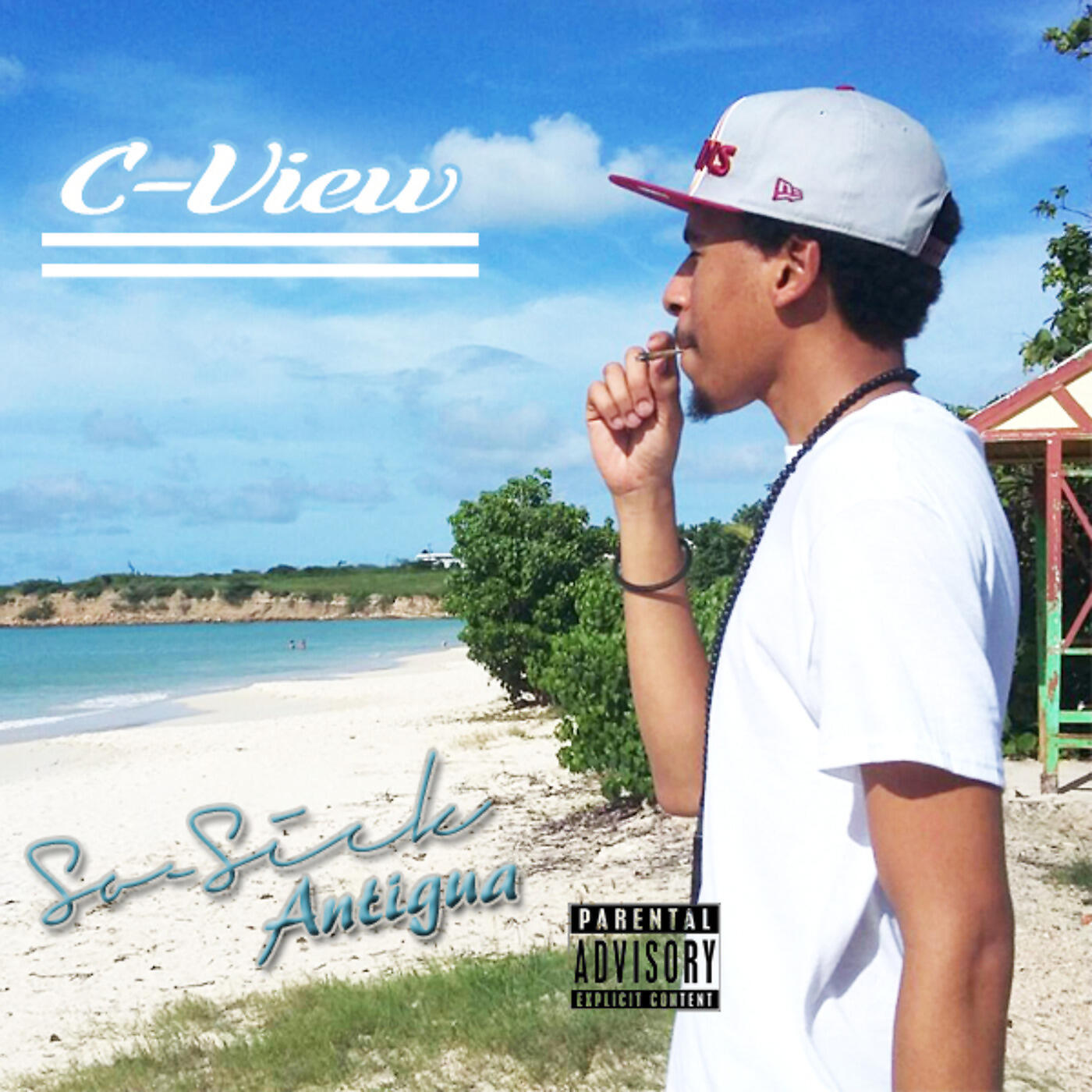 Релиз C-View