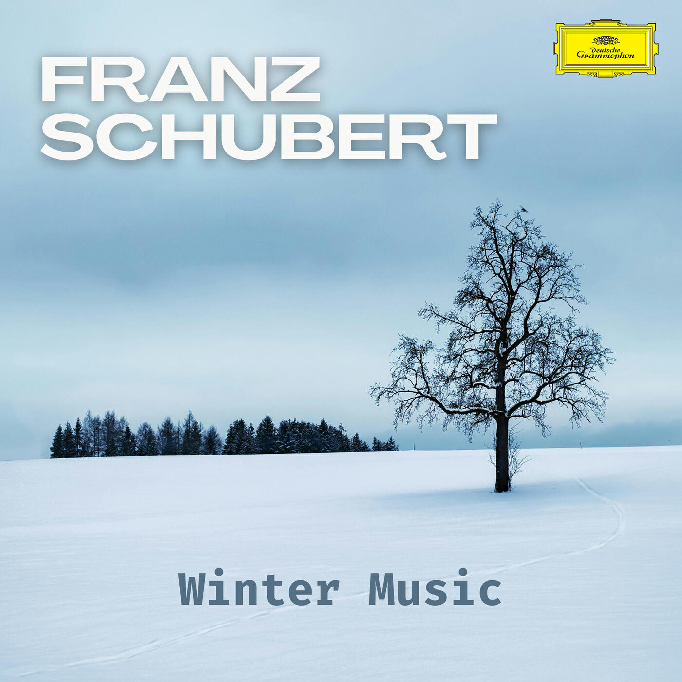 Релиз Schubert: Winter Music