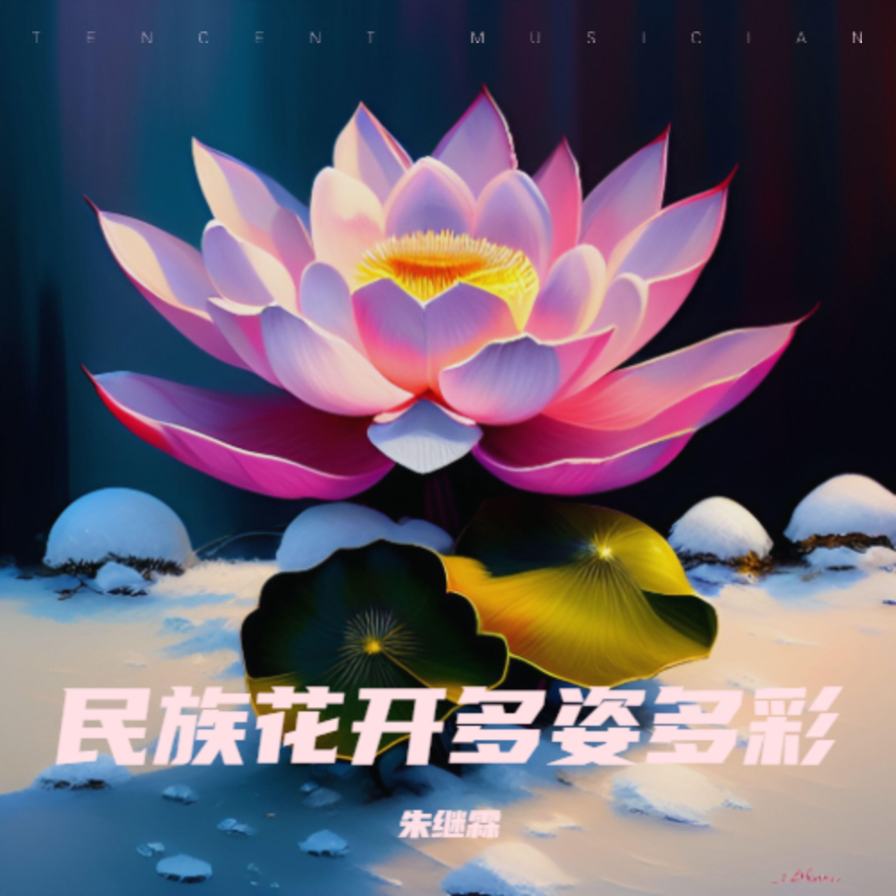 Релиз 民族花开多姿多彩