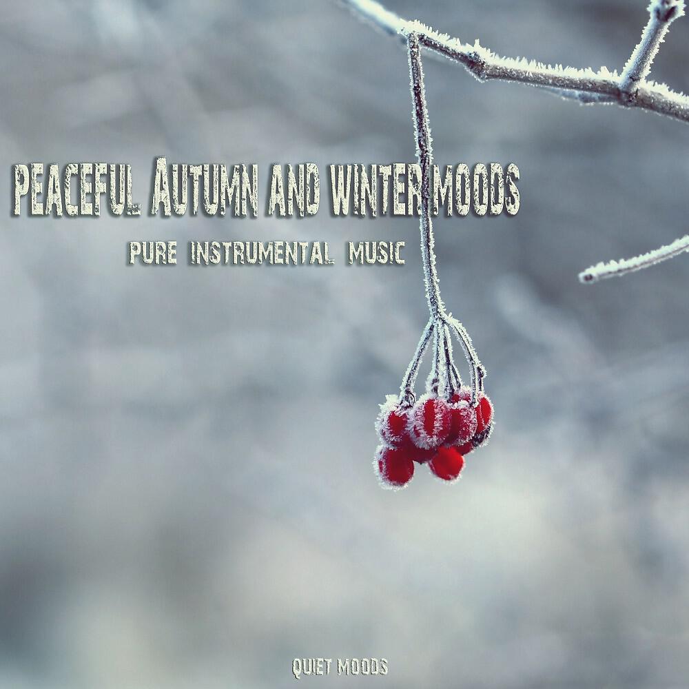 Релиз Peaceful Autumn & Winter Moods (Pure Instrumental Music)