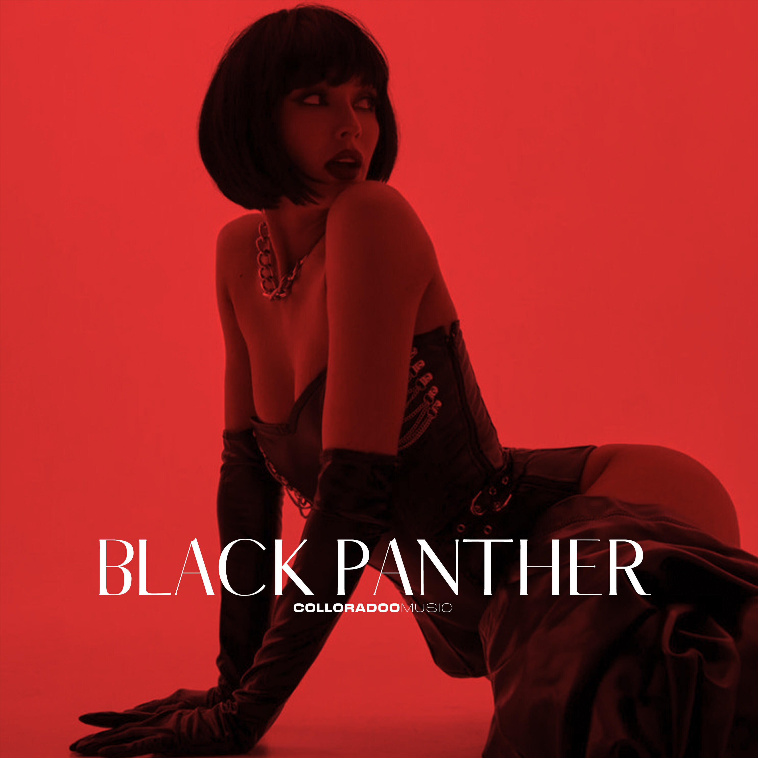 Постер альбома Black Panther