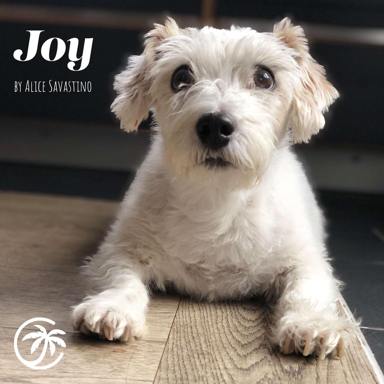 Релиз Joy