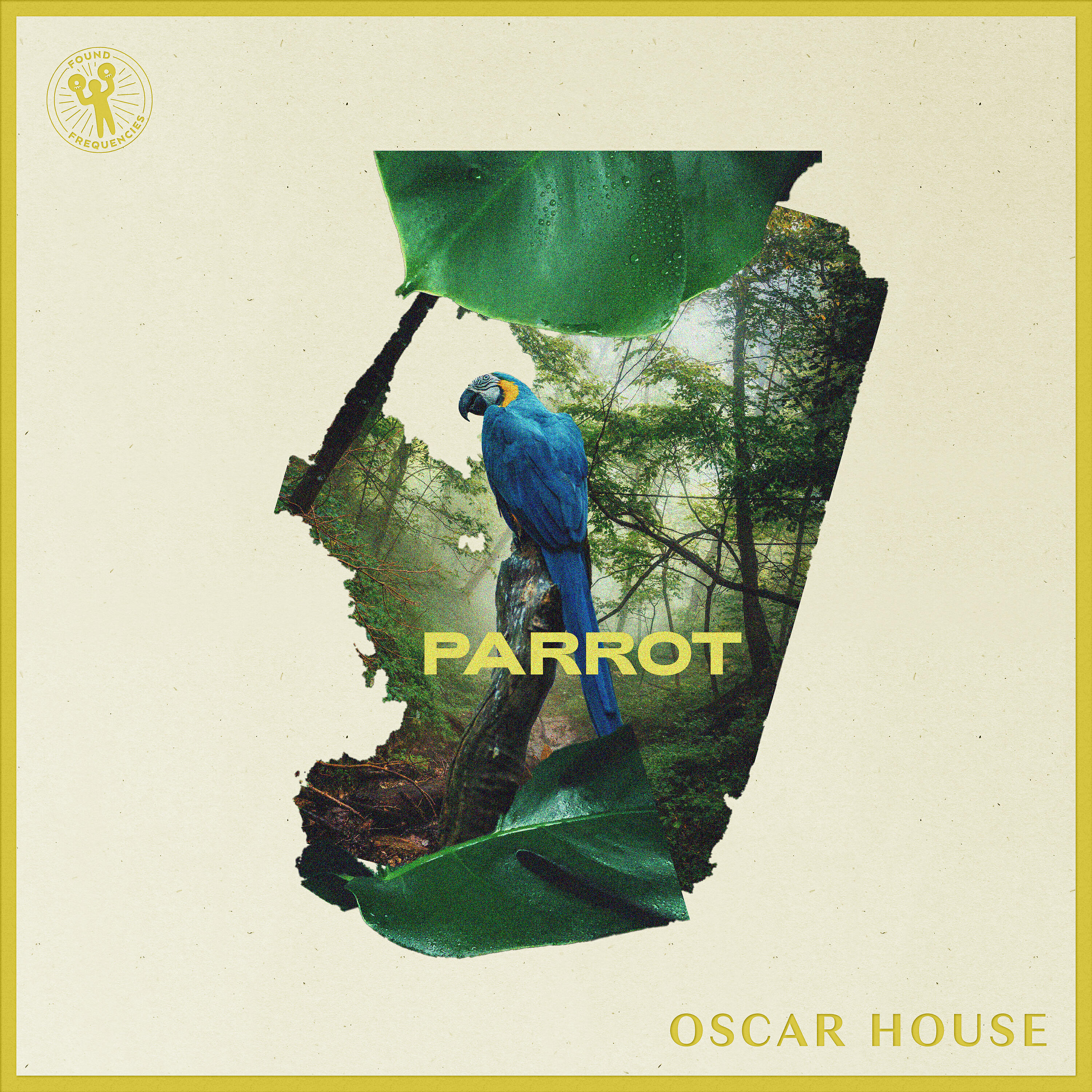 Постер альбома Parrot