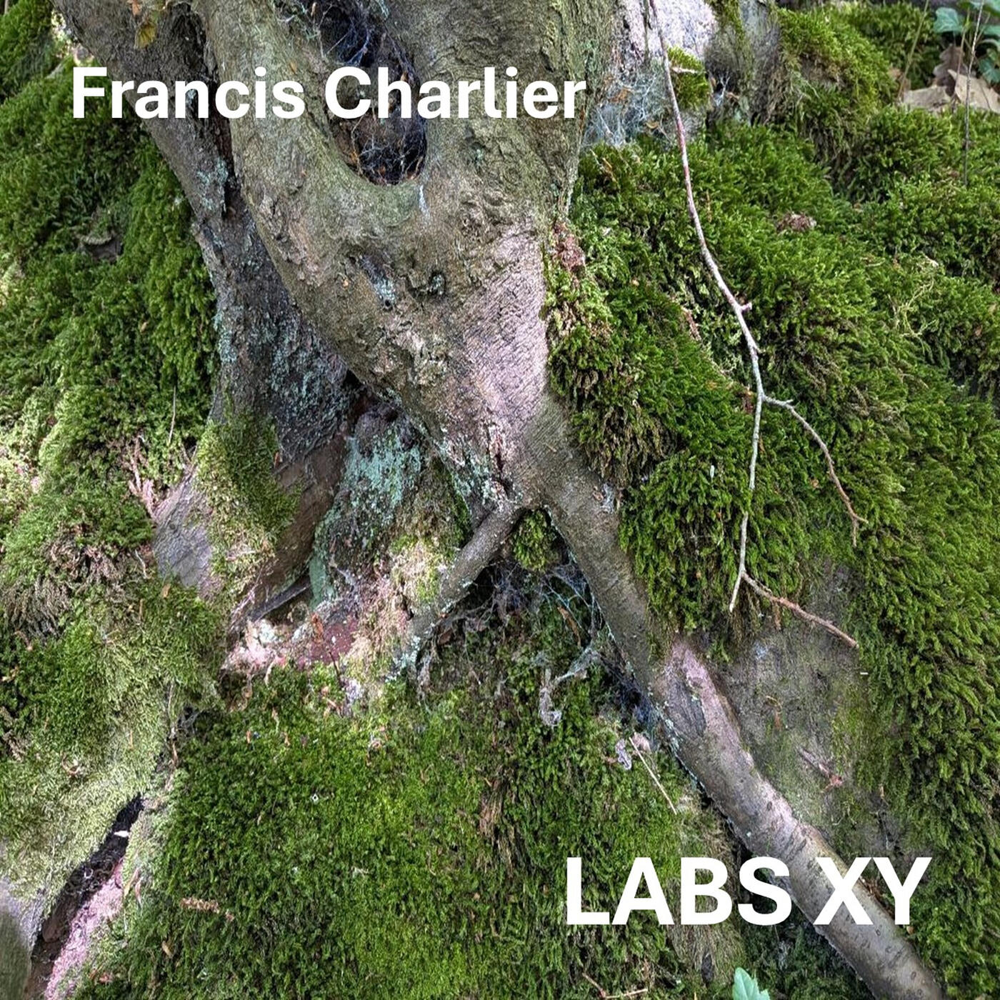 Релиз LABS XY