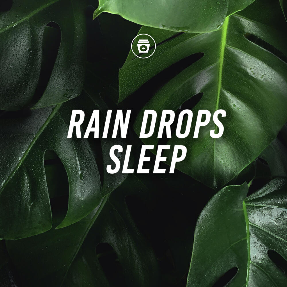 Постер альбома Rain Drops Sleep