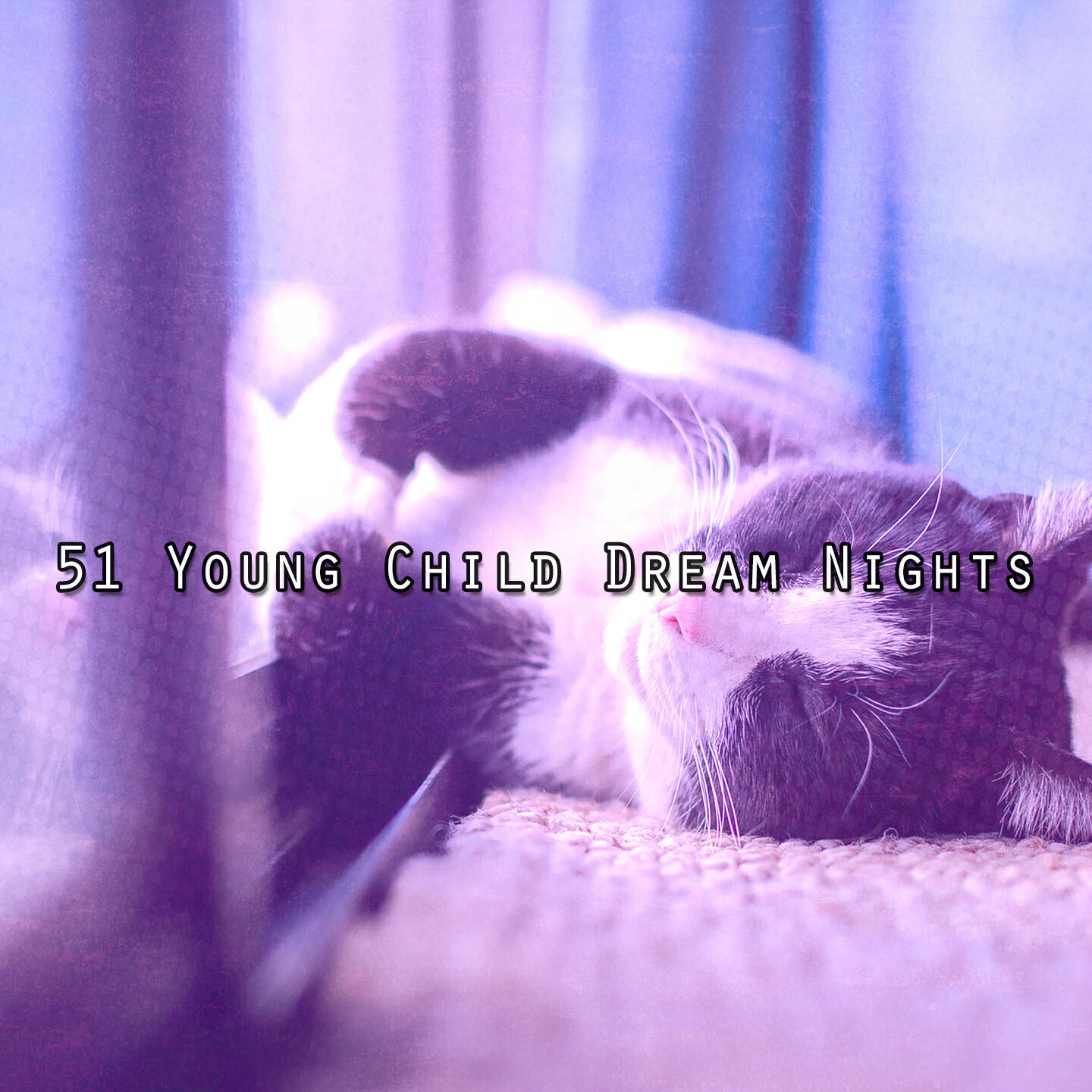 Релиз 51 Young Child Dream Nights