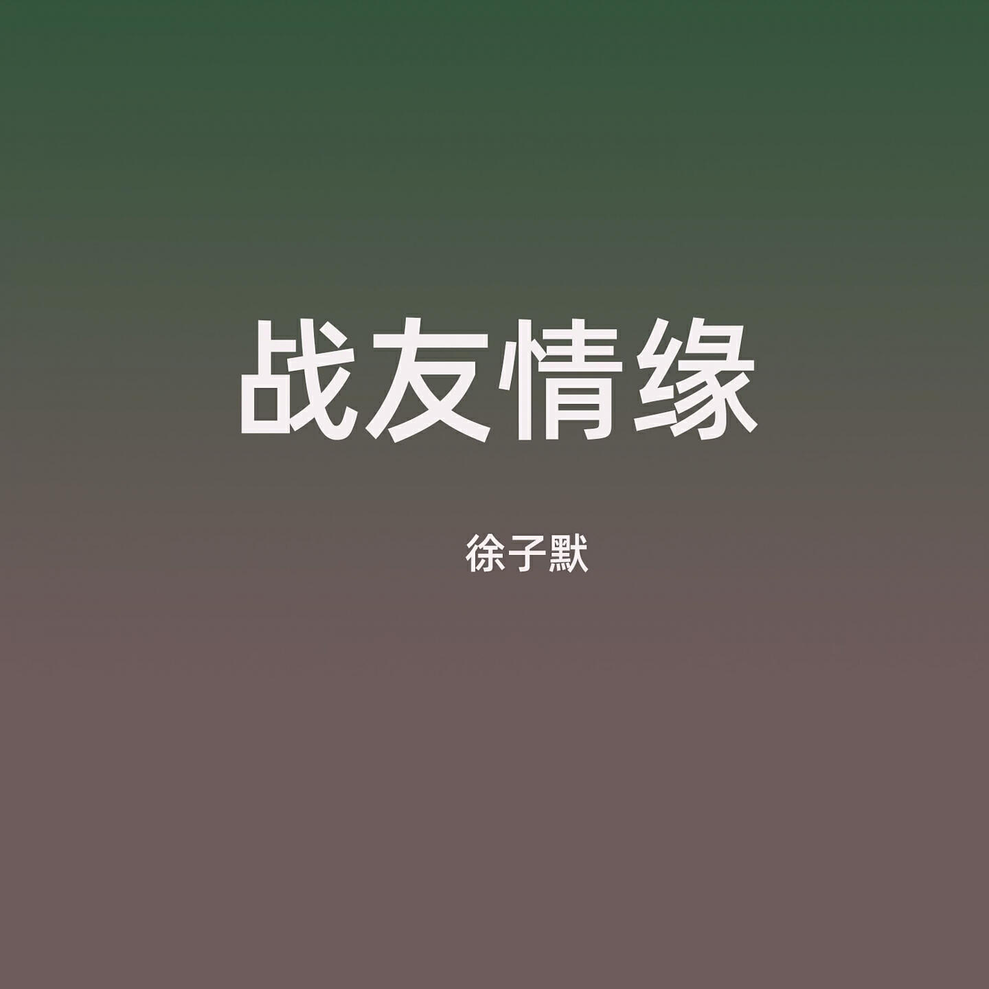 Релиз 战友情缘