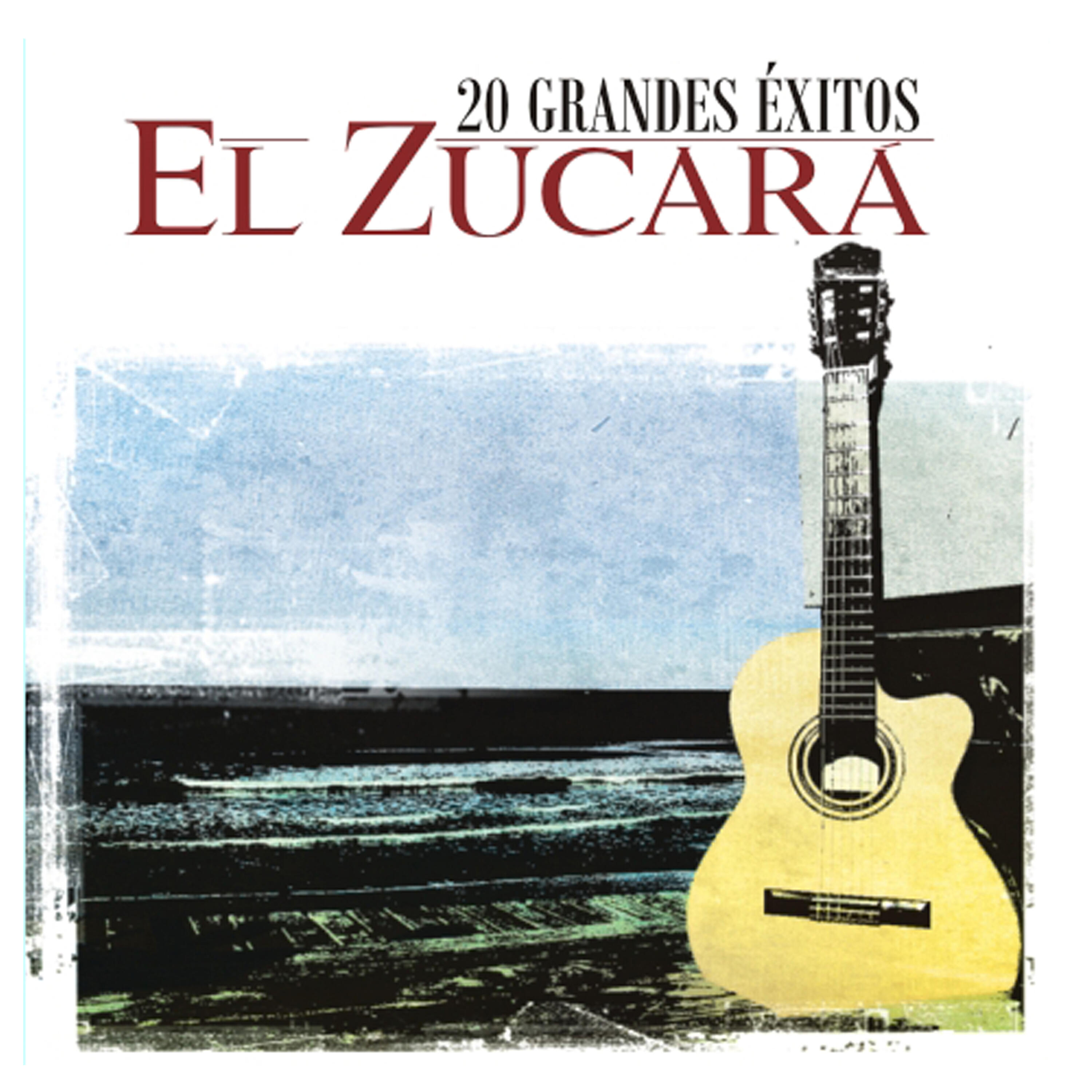 Релиз 20 Grandes Exitos
