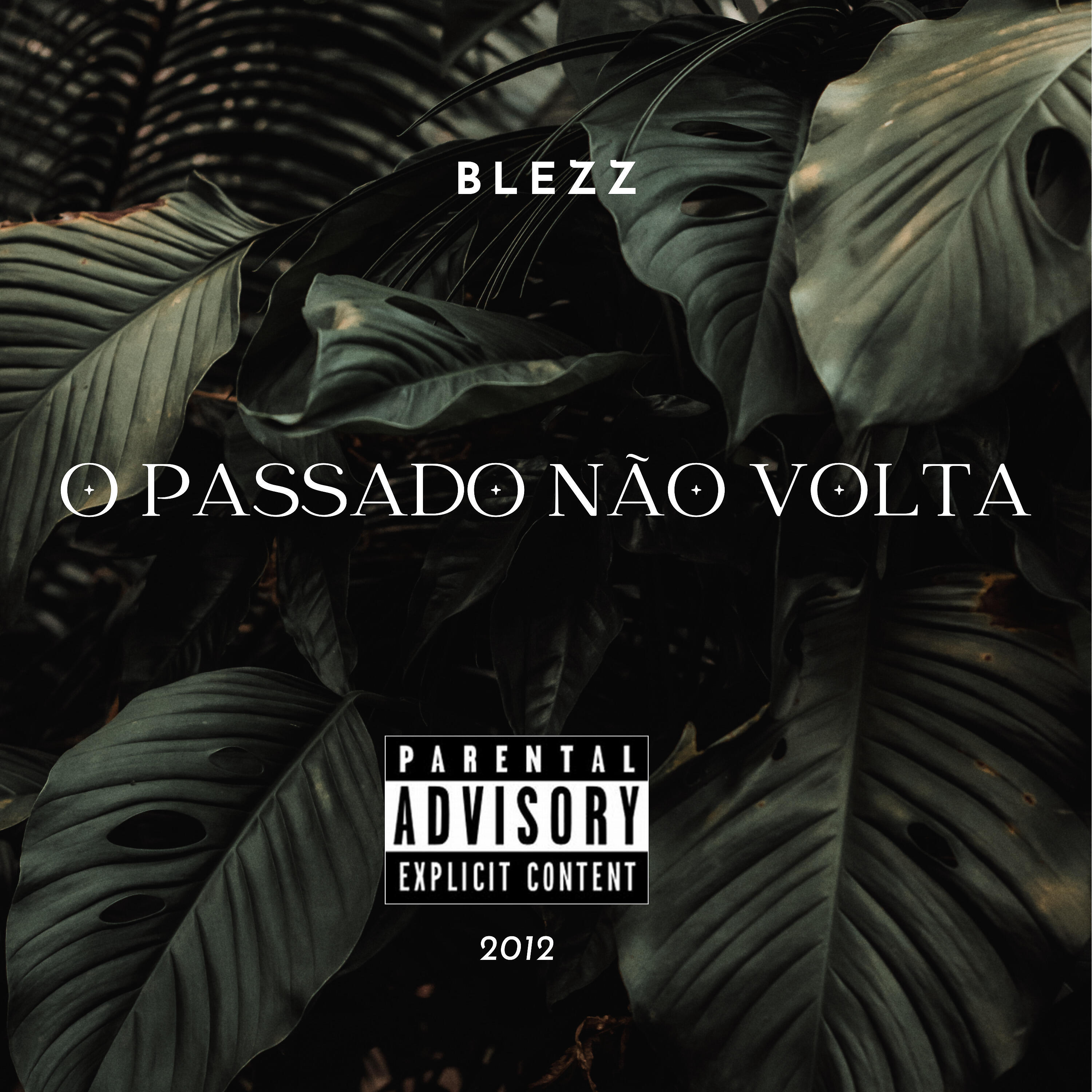 BLEZZ_062