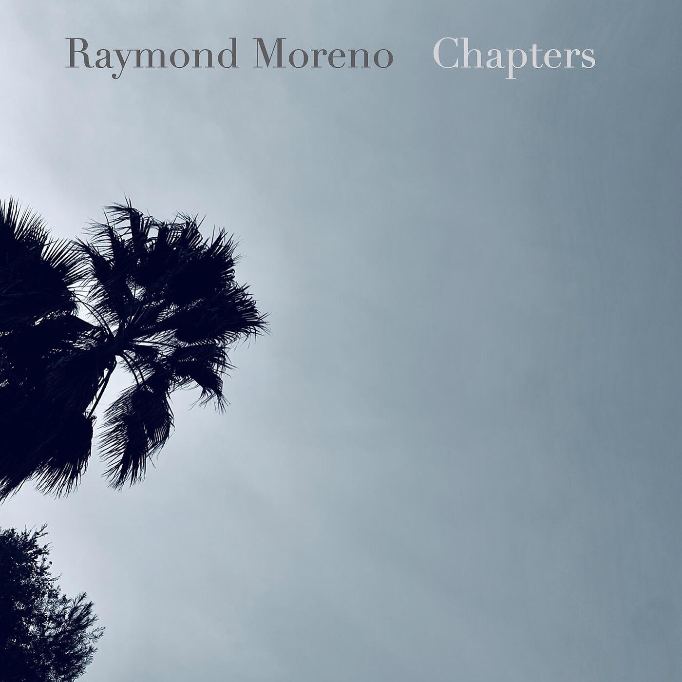 Релиз Chapters