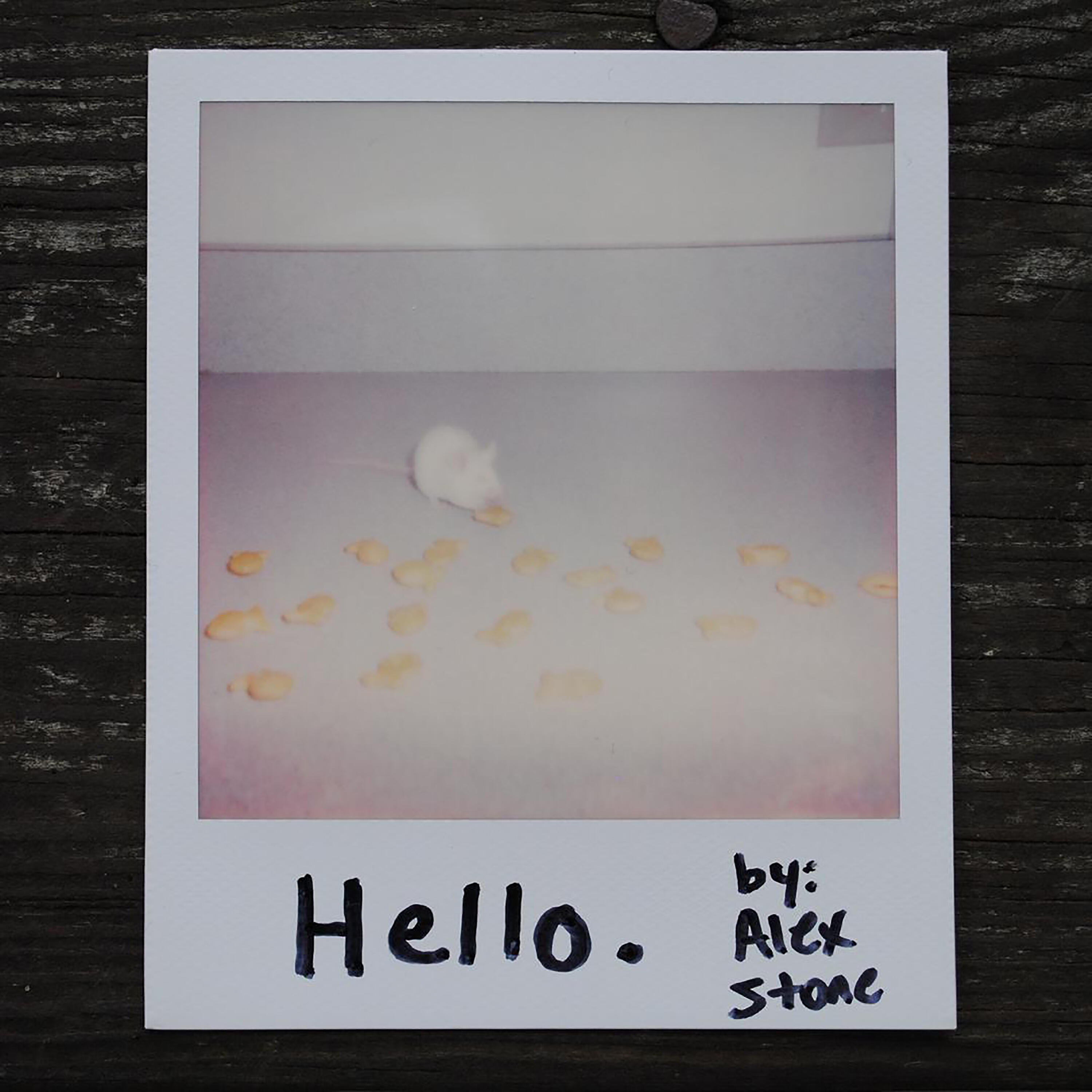 Релиз Hello.