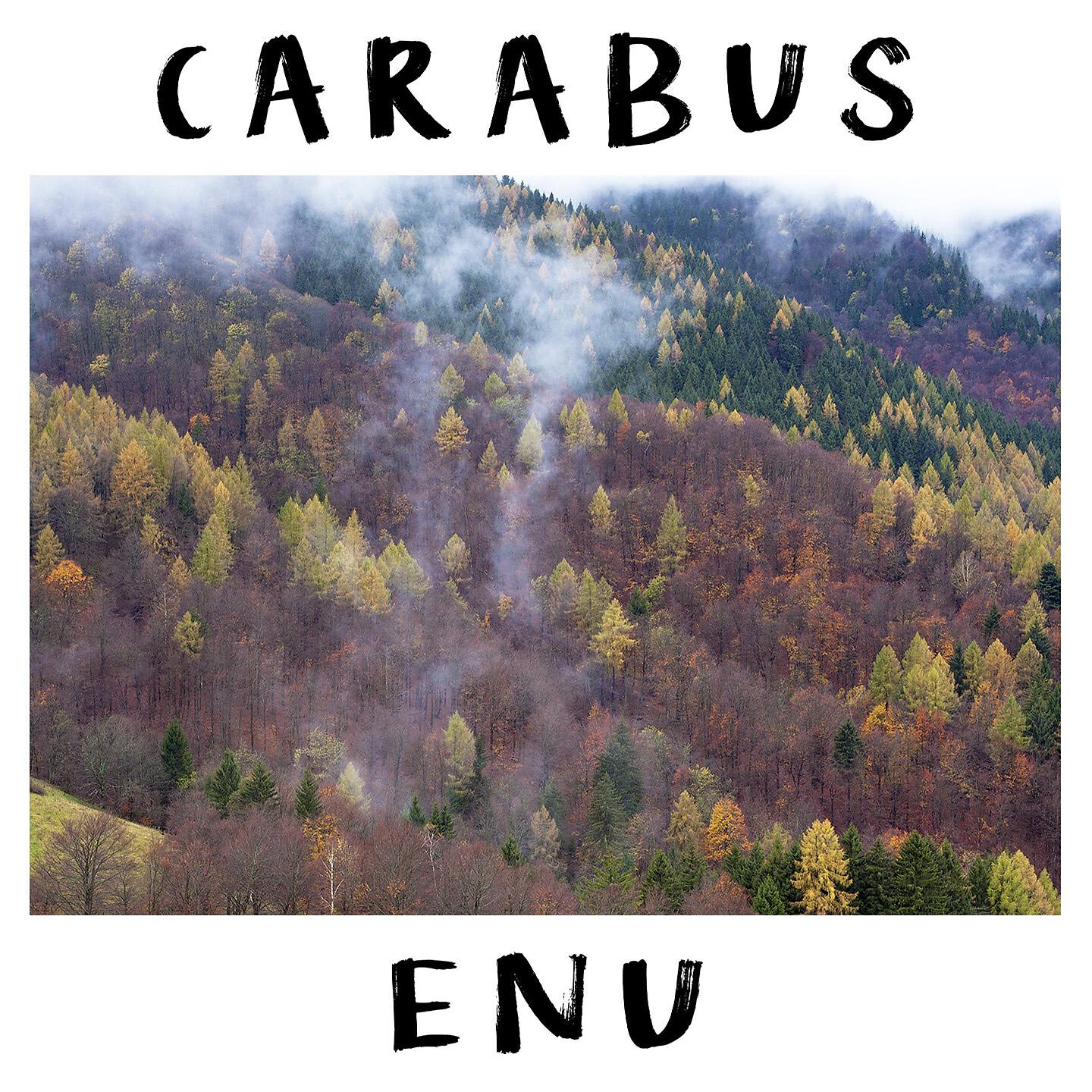 Релиз Enu